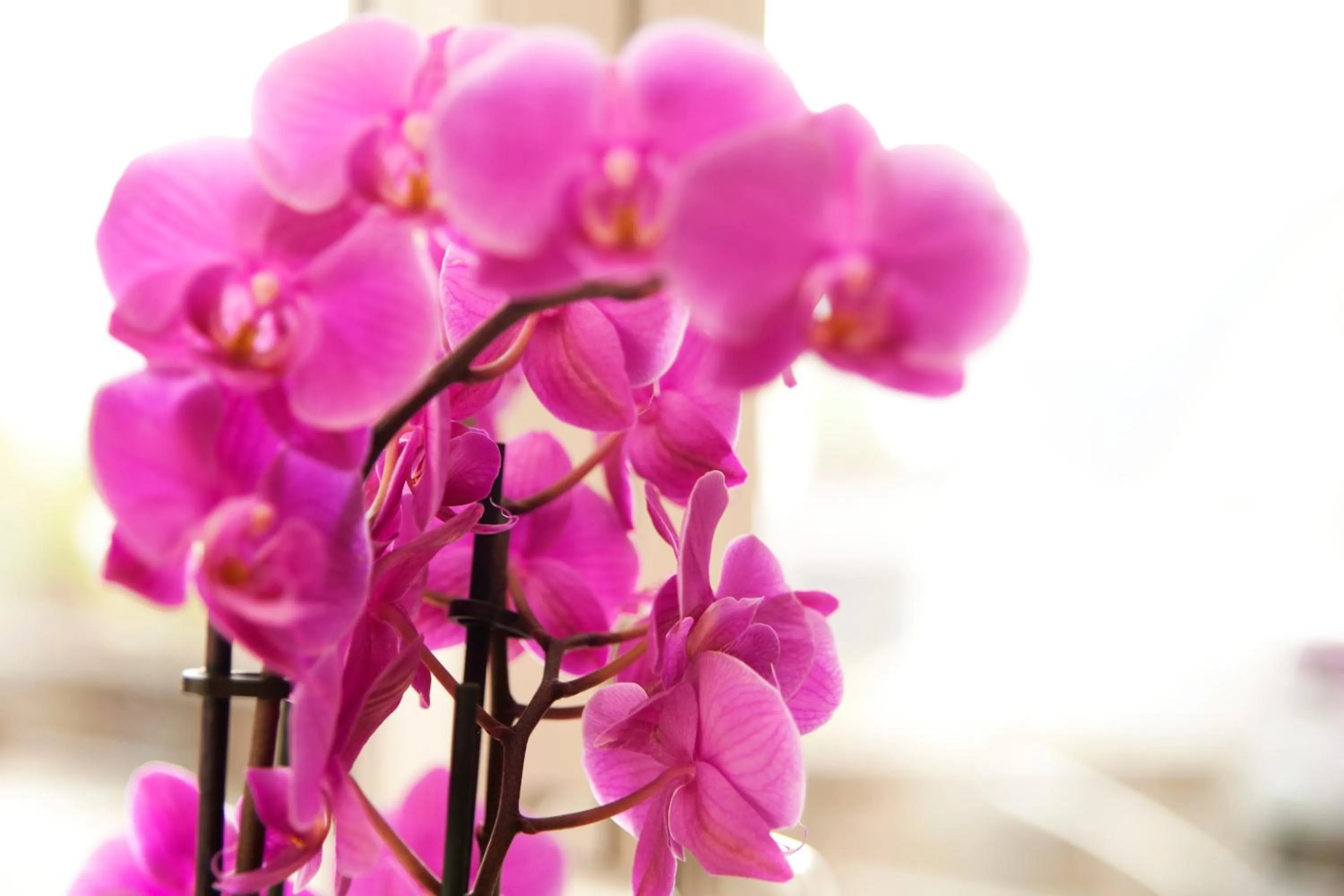 Decorative detail in Hotel Vintage Am Bundesbank-Bunker