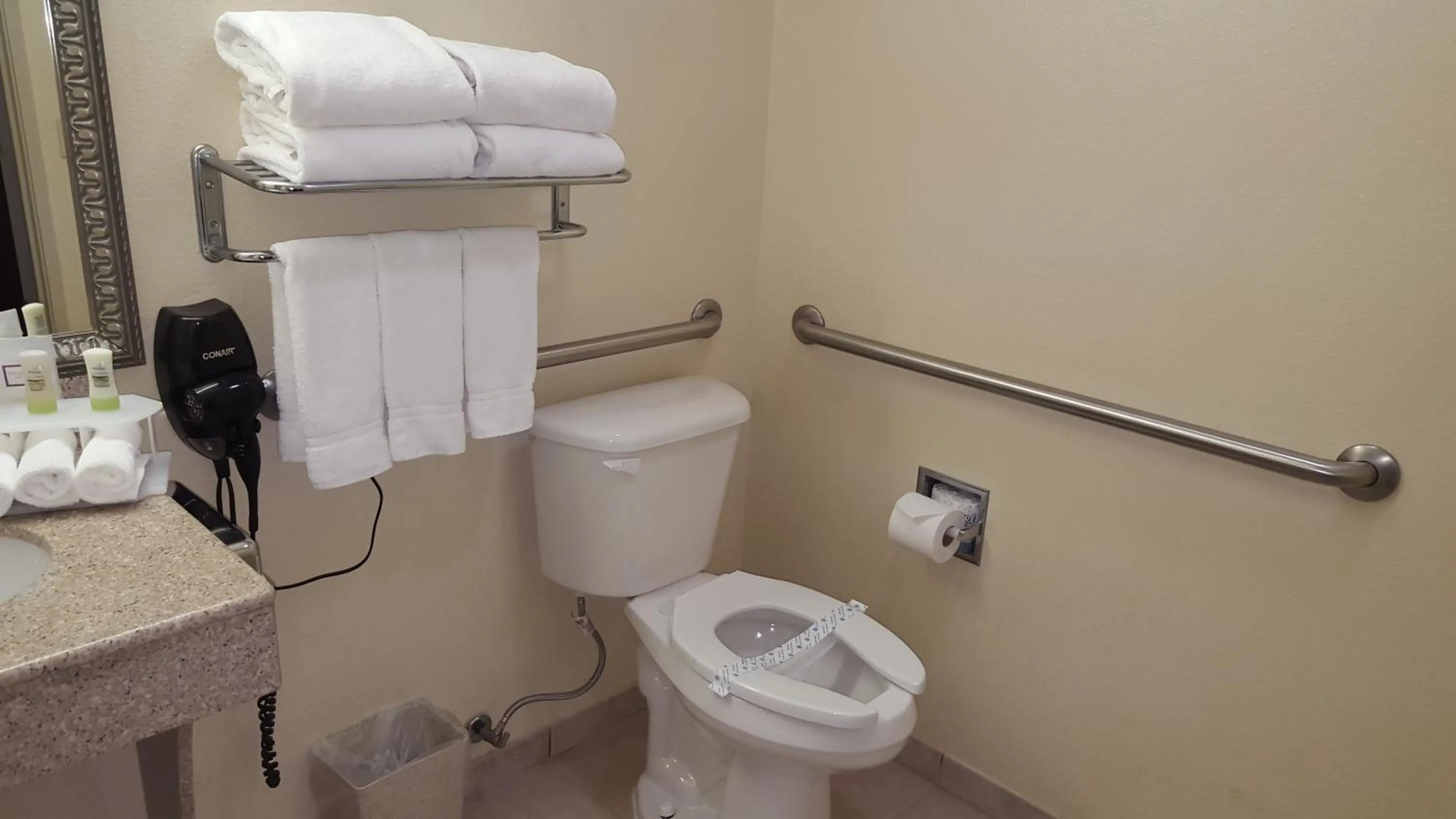 Toilet in Country Inn & Suites by Radisson, Fort Worth West l-30 NAS JRB