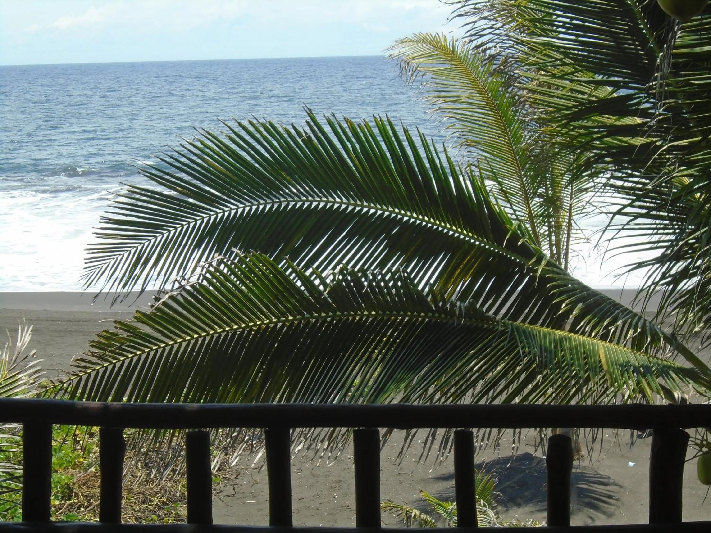 View (from property/room) in Marbella Eco Lodge