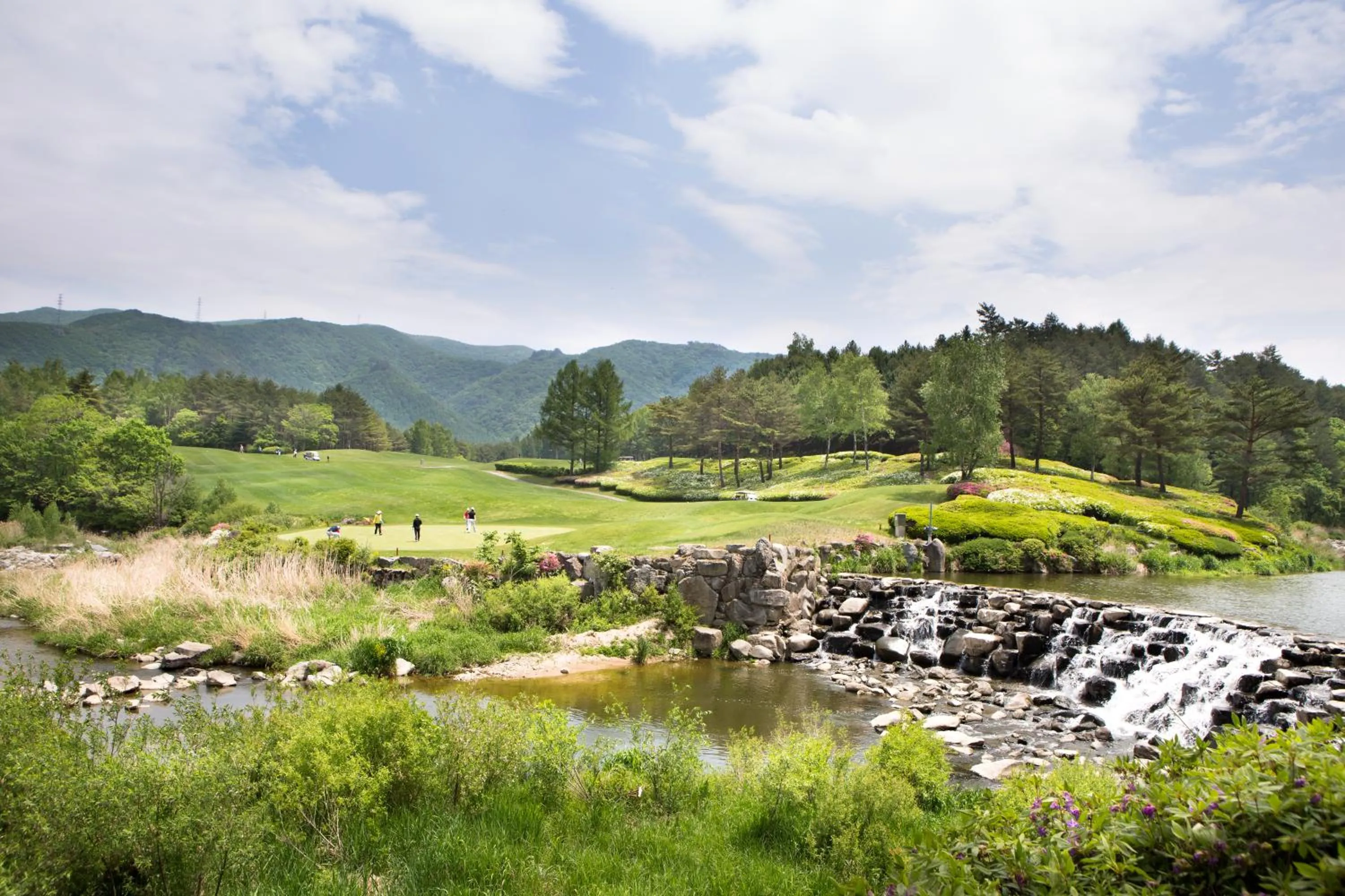 Golfcourse in Mona Yongpyong
