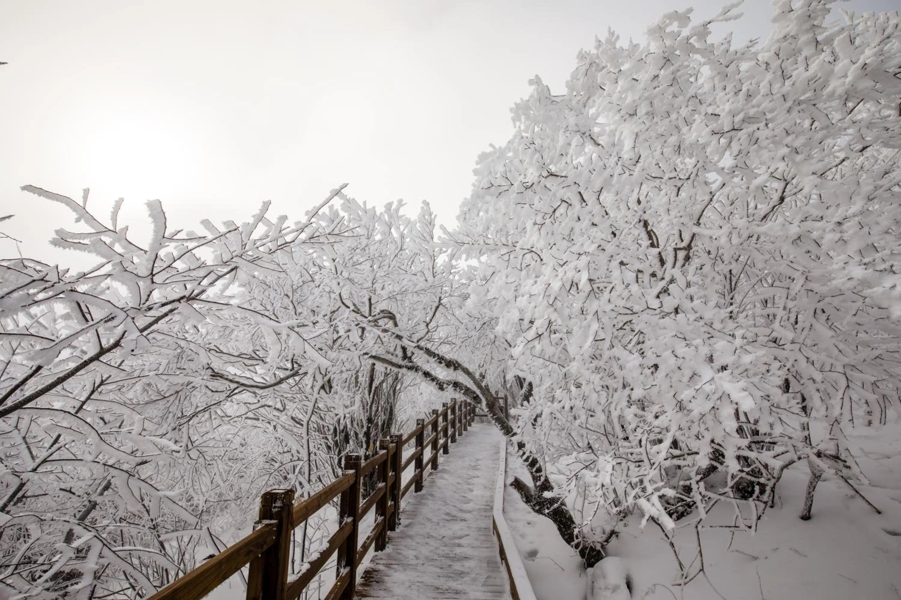 Nearby landmark in Mona Yongpyong