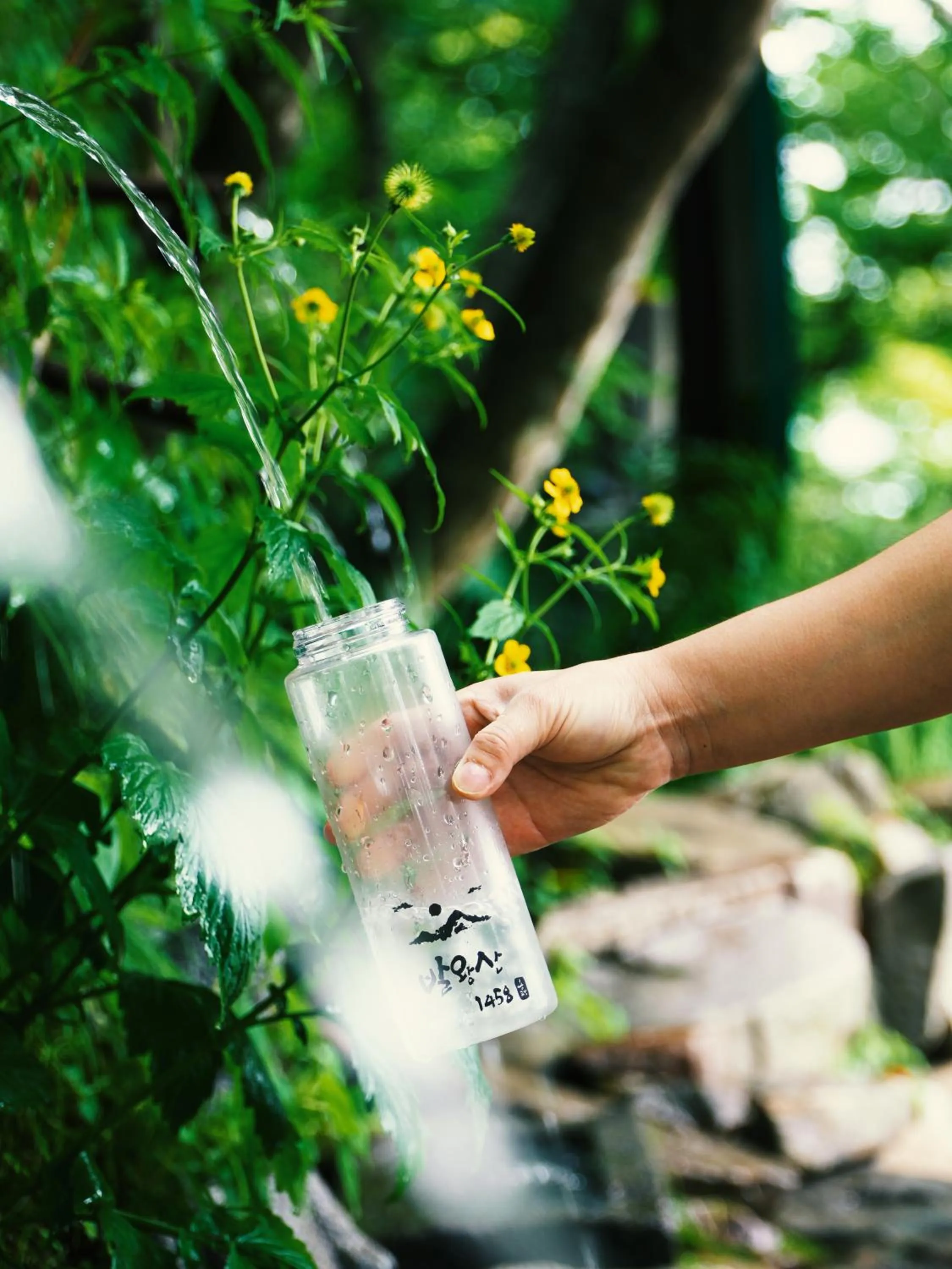 Nearby landmark in Mona Yongpyong