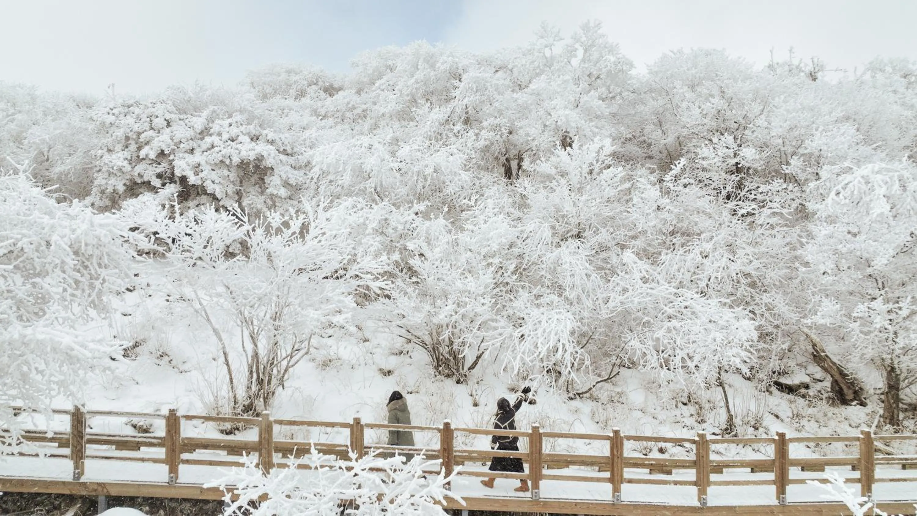Nearby landmark in Mona Yongpyong