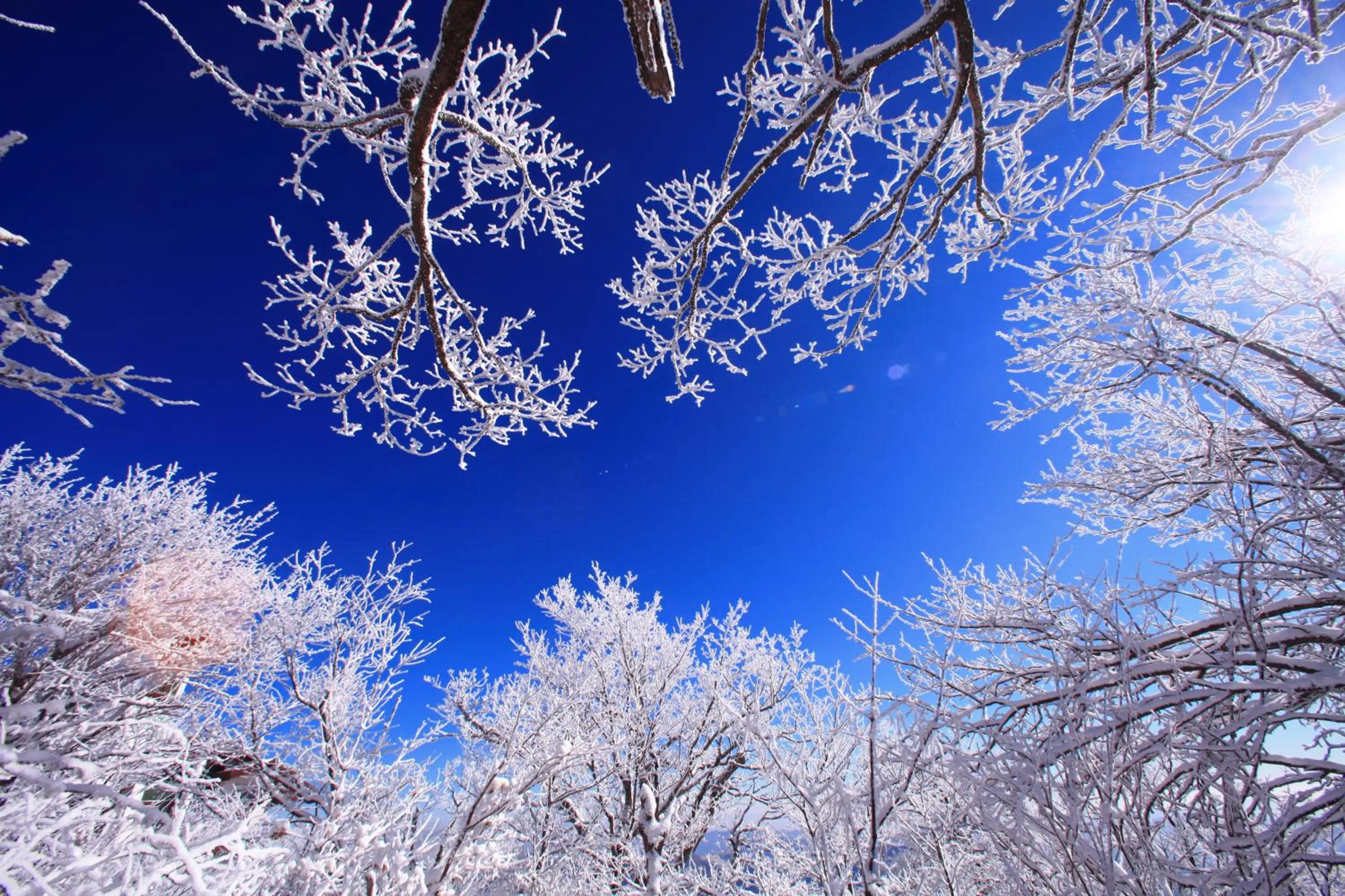 Nearby landmark in Mona Yongpyong
