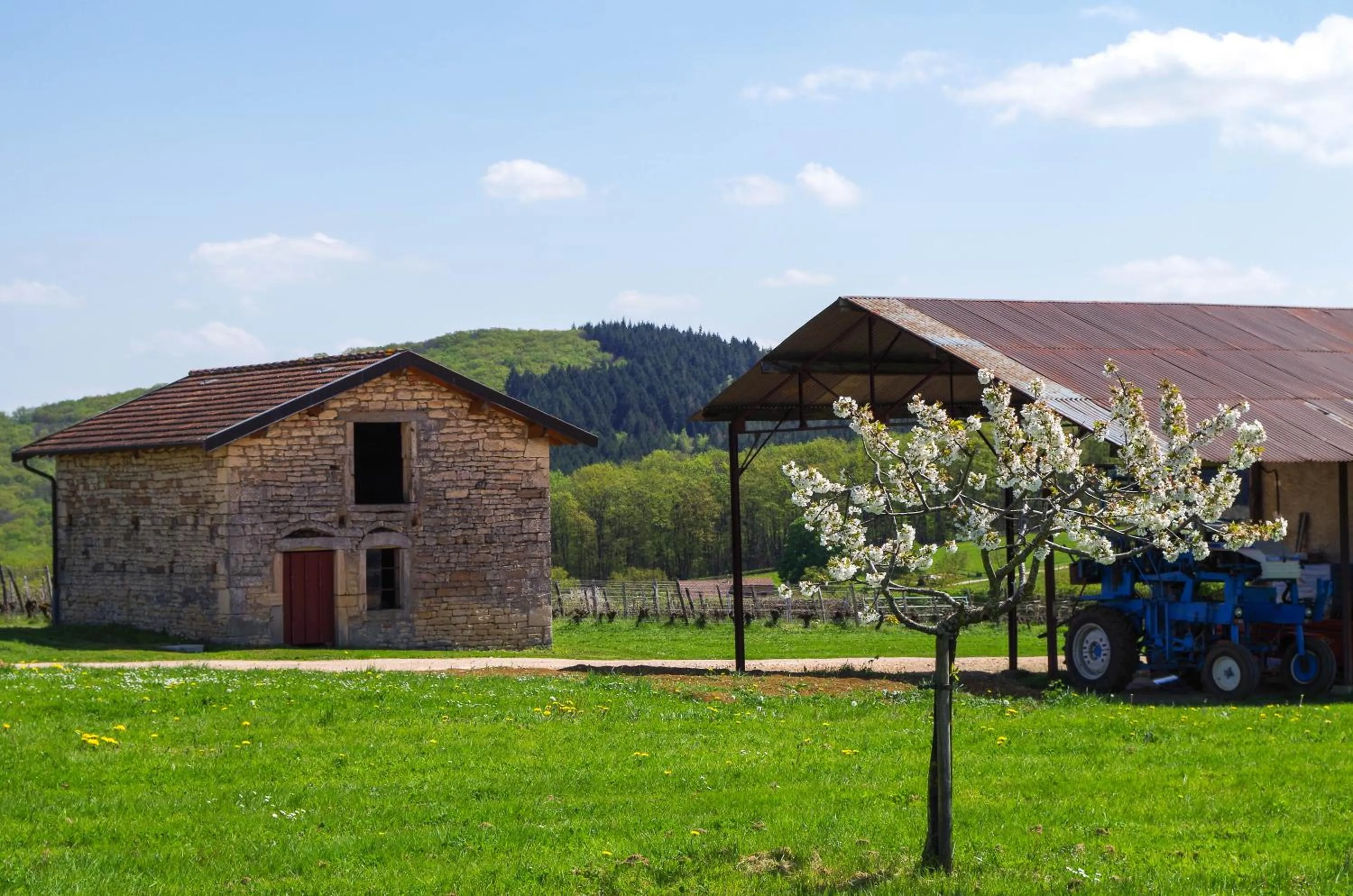 Natural landscape in Domaine Joseph LAFARGE Wine Resort B&B