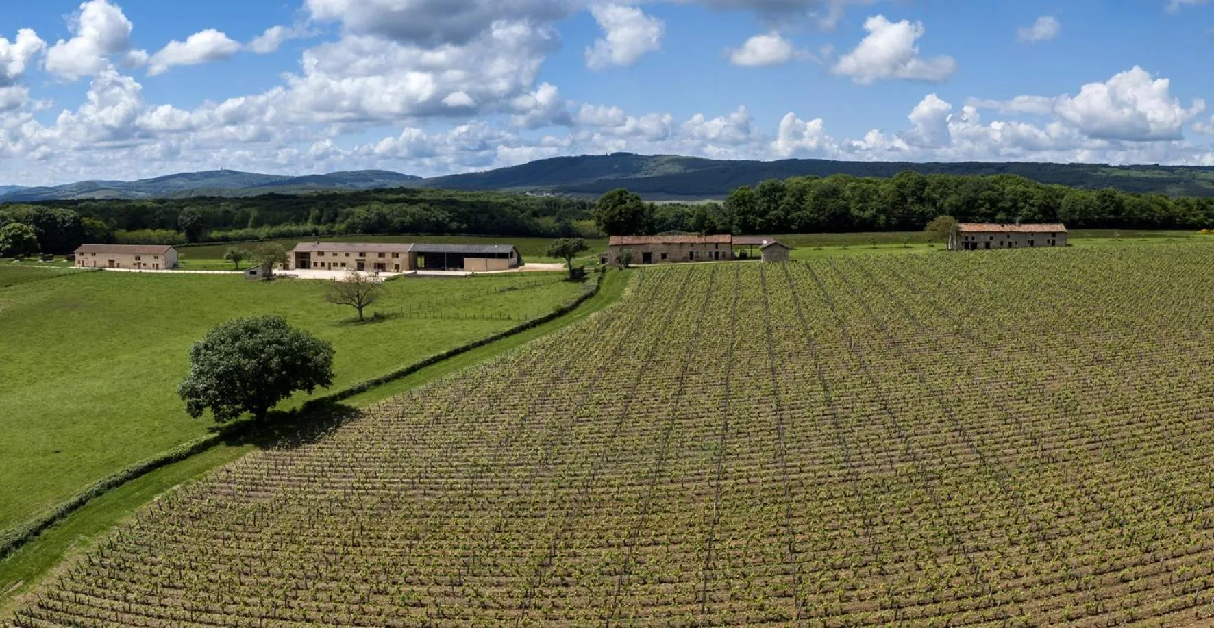 Bird's eye view in Domaine Joseph LAFARGE Wine Resort B&B
