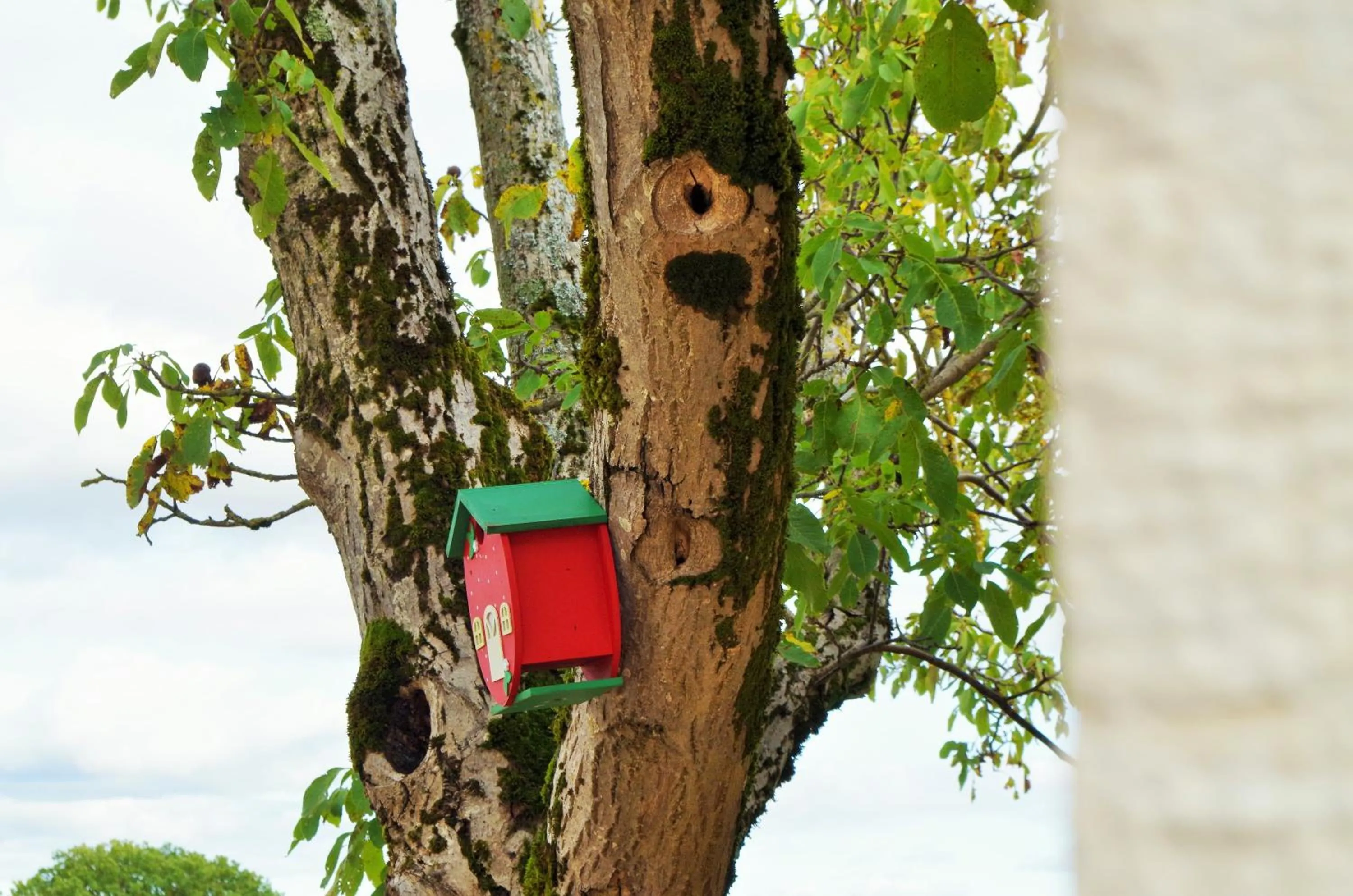 Autumn in Domaine Joseph LAFARGE Wine Resort B&B