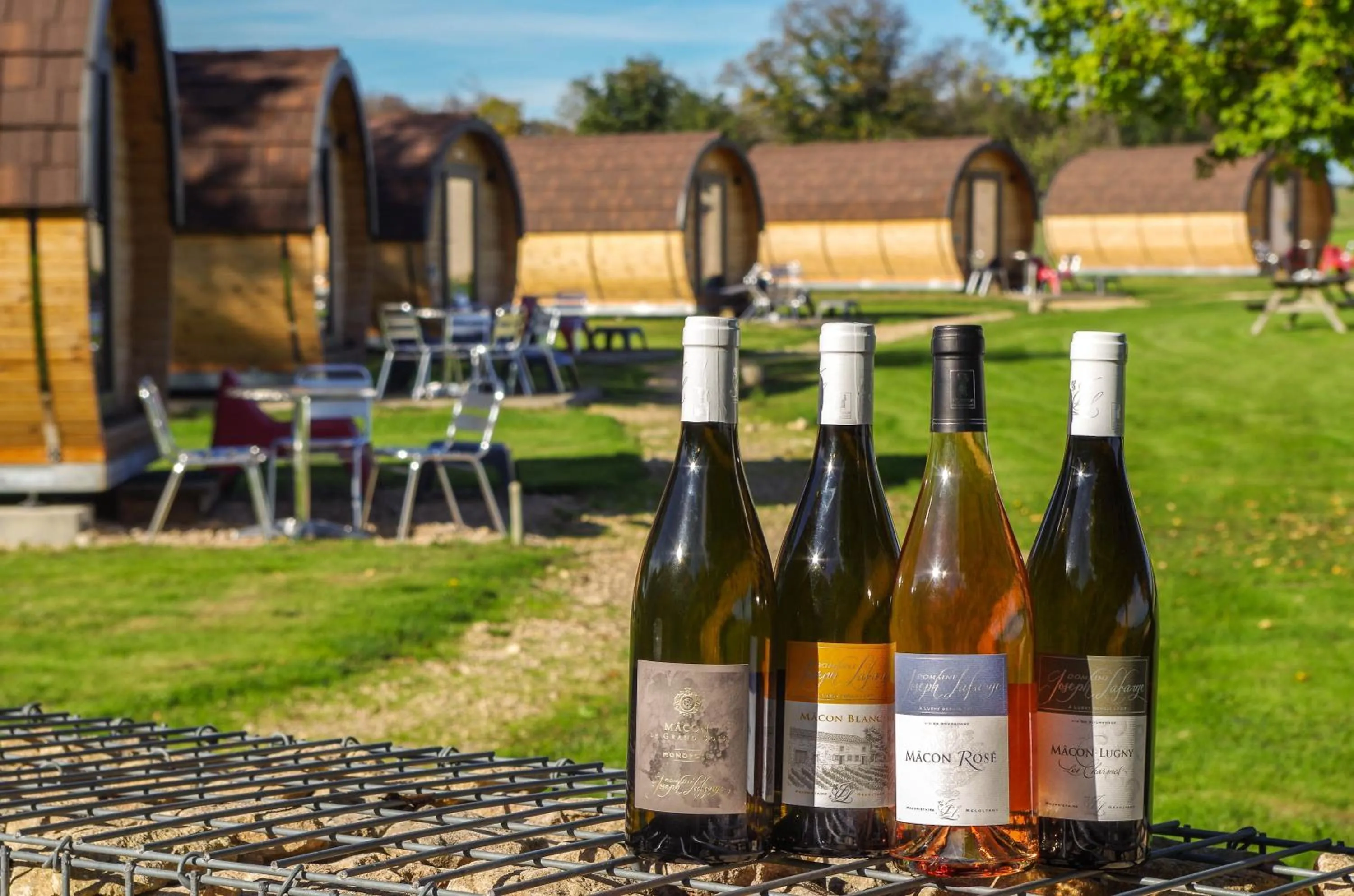 Activities in Domaine Joseph LAFARGE Wine Resort B&B