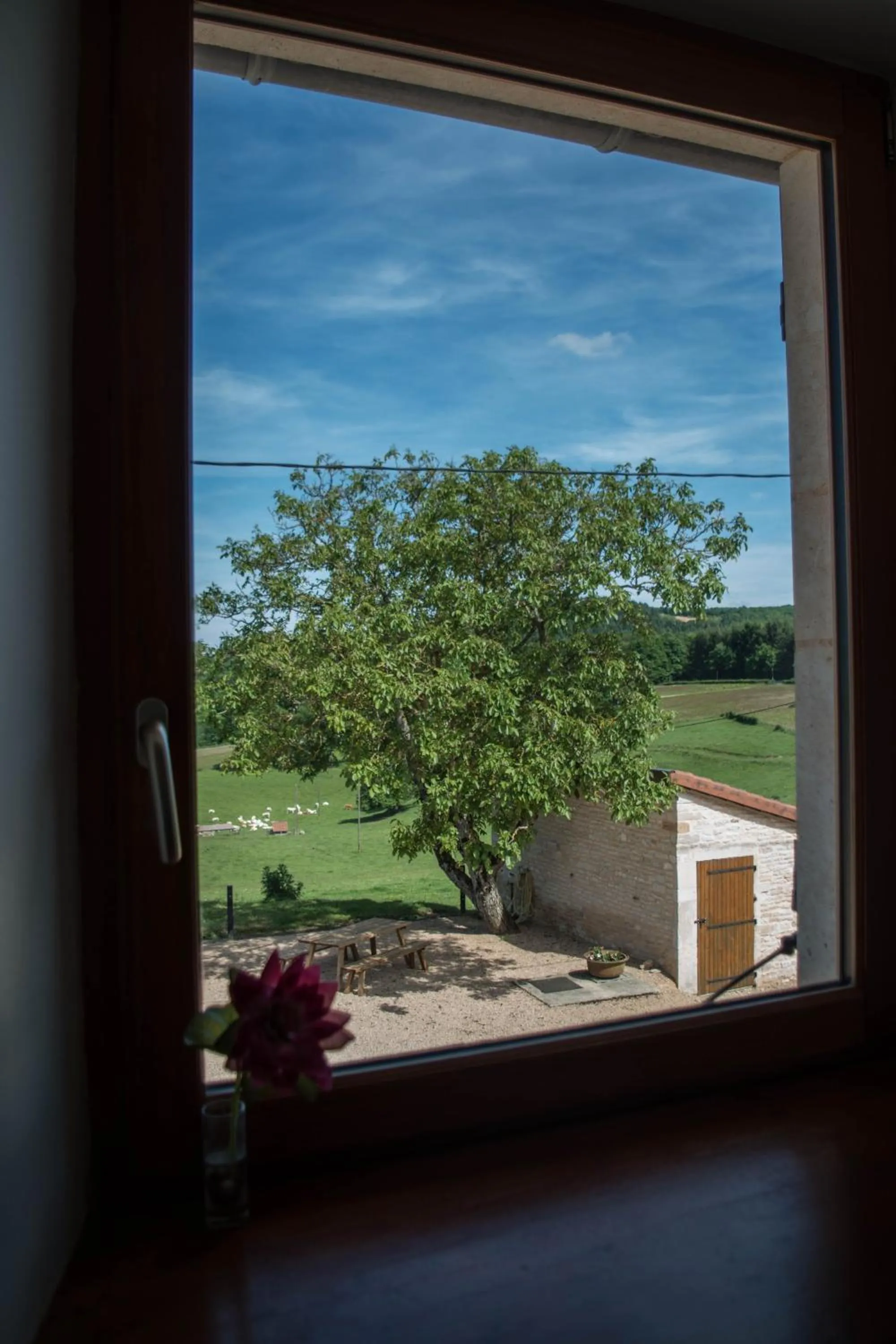 View (from property/room) in Domaine Joseph LAFARGE Wine Resort B&B