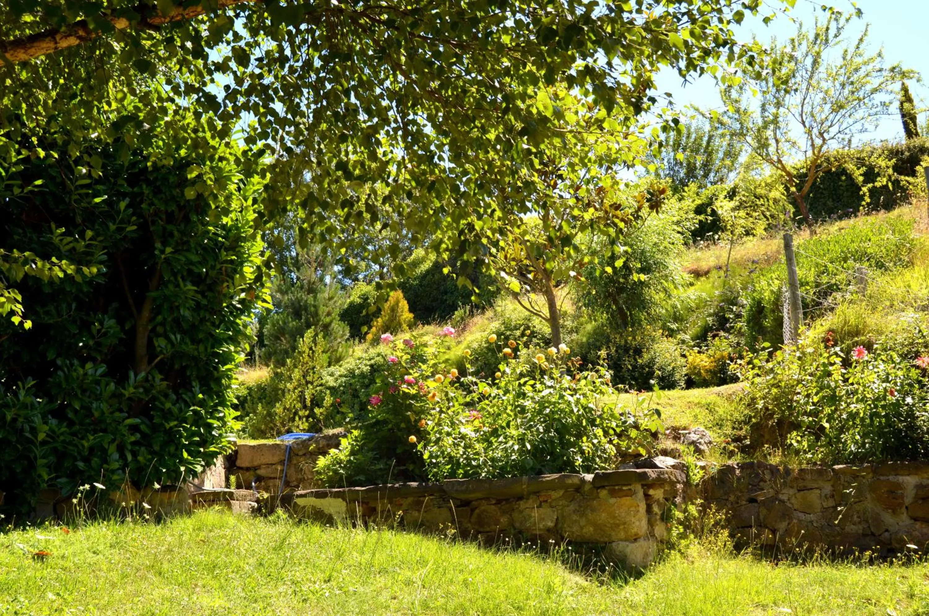 Garden in Hotel Infantado