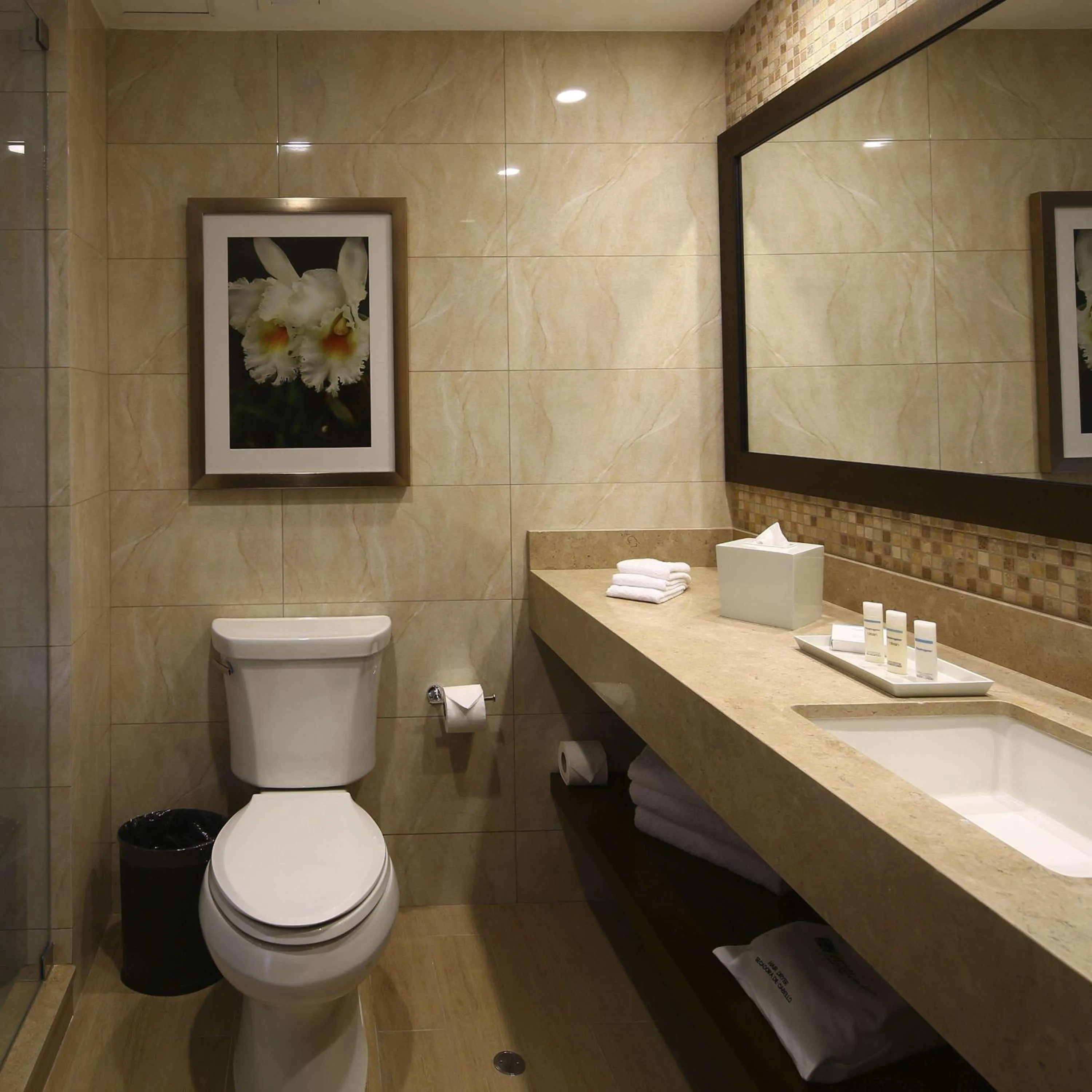 Bathroom in Hilton Garden Inn Cusco