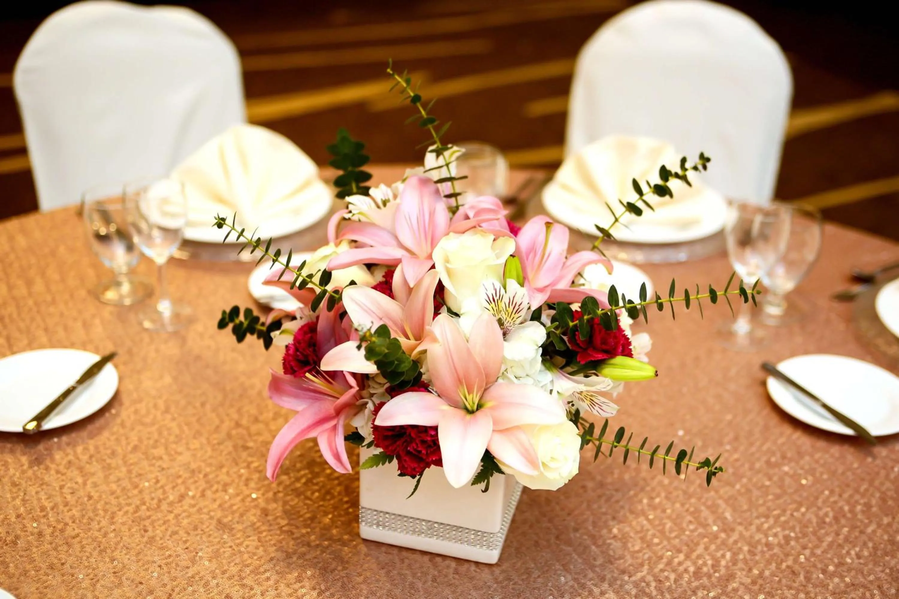 Meeting/conference room in Hilton Garden Inn San Antonio-Live Oak Conference Center