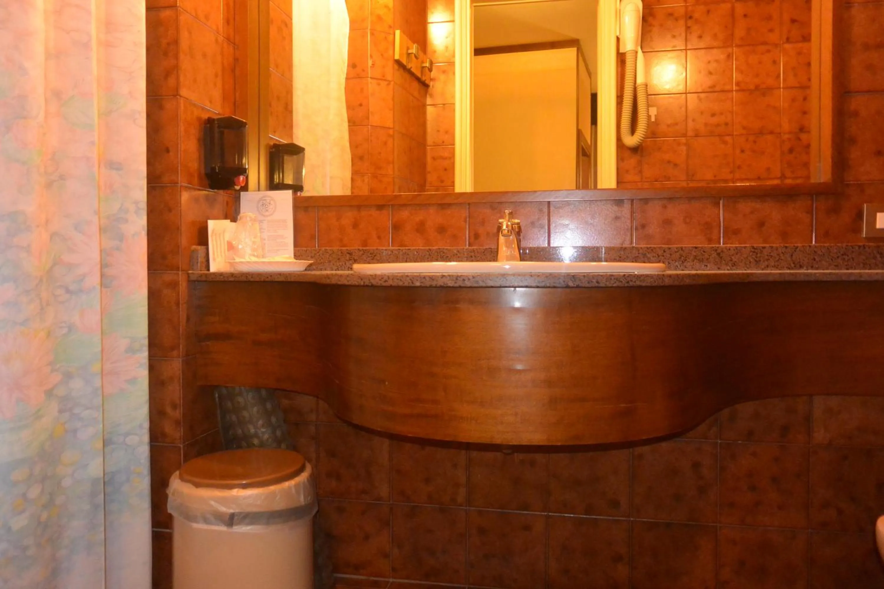 Bathroom in Hotel Italia City Center