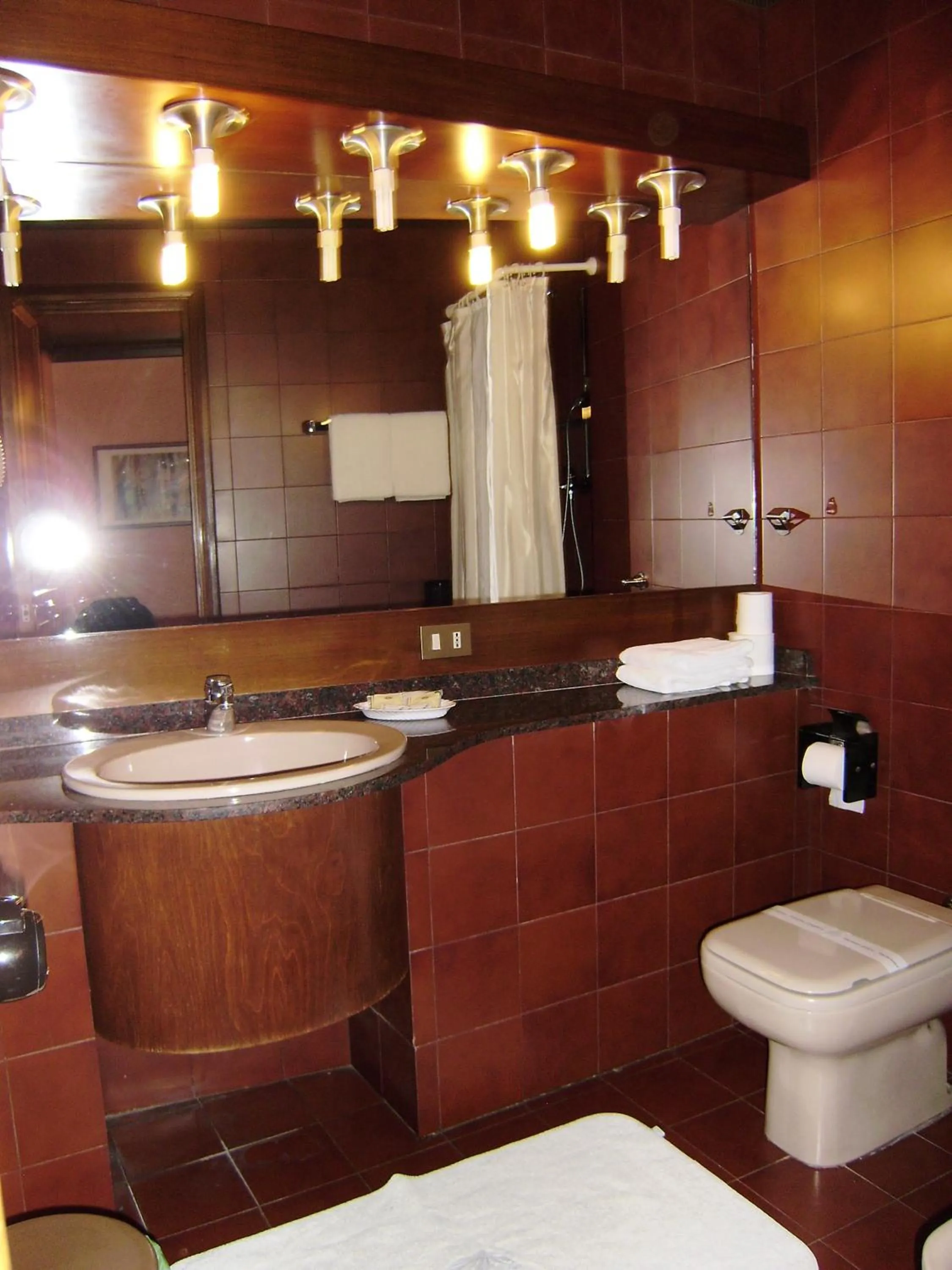 Bathroom in Hotel Italia City Center