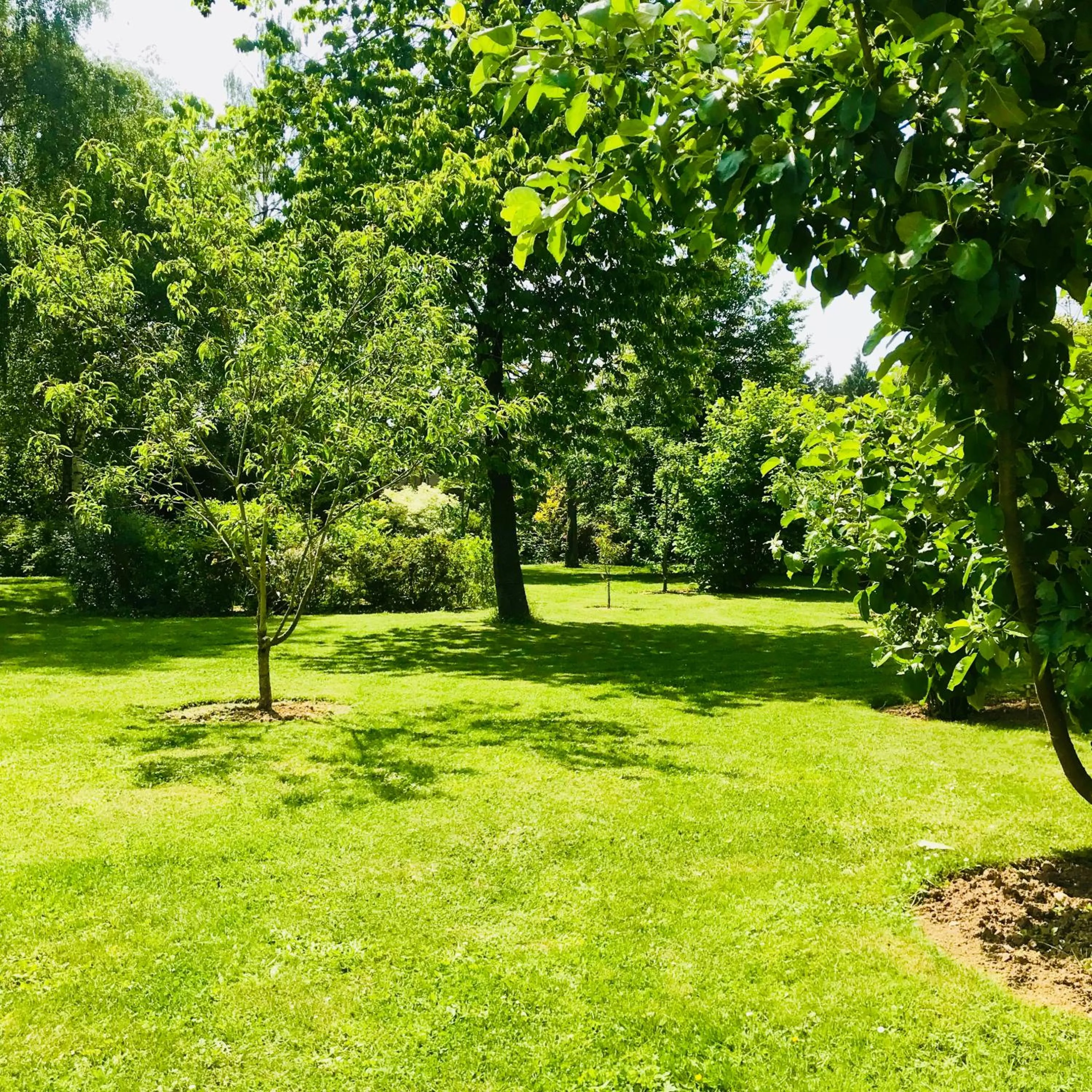 Garden in Les 3 Tilleuls