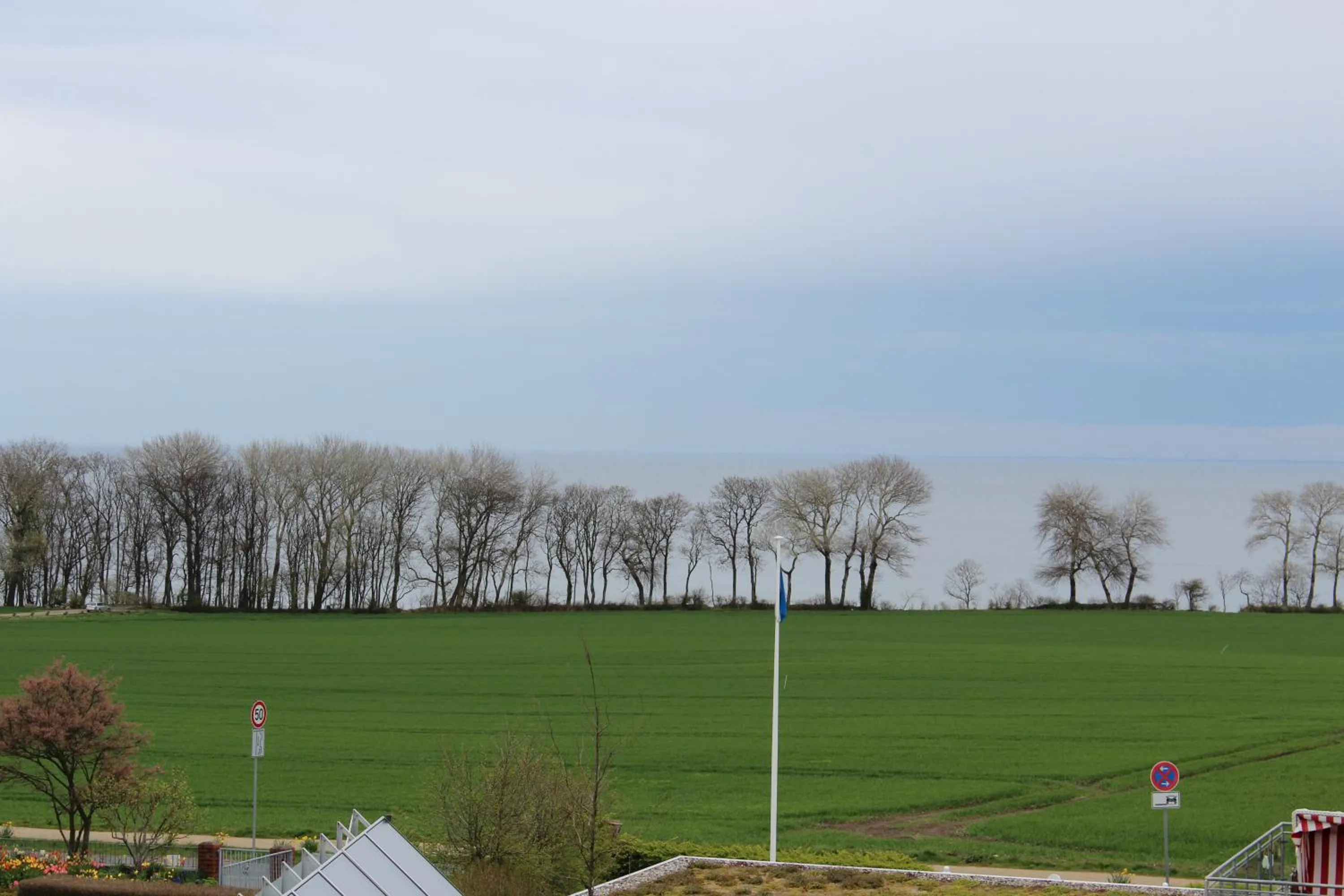 View (from property/room) in Aparthotel Museumshof