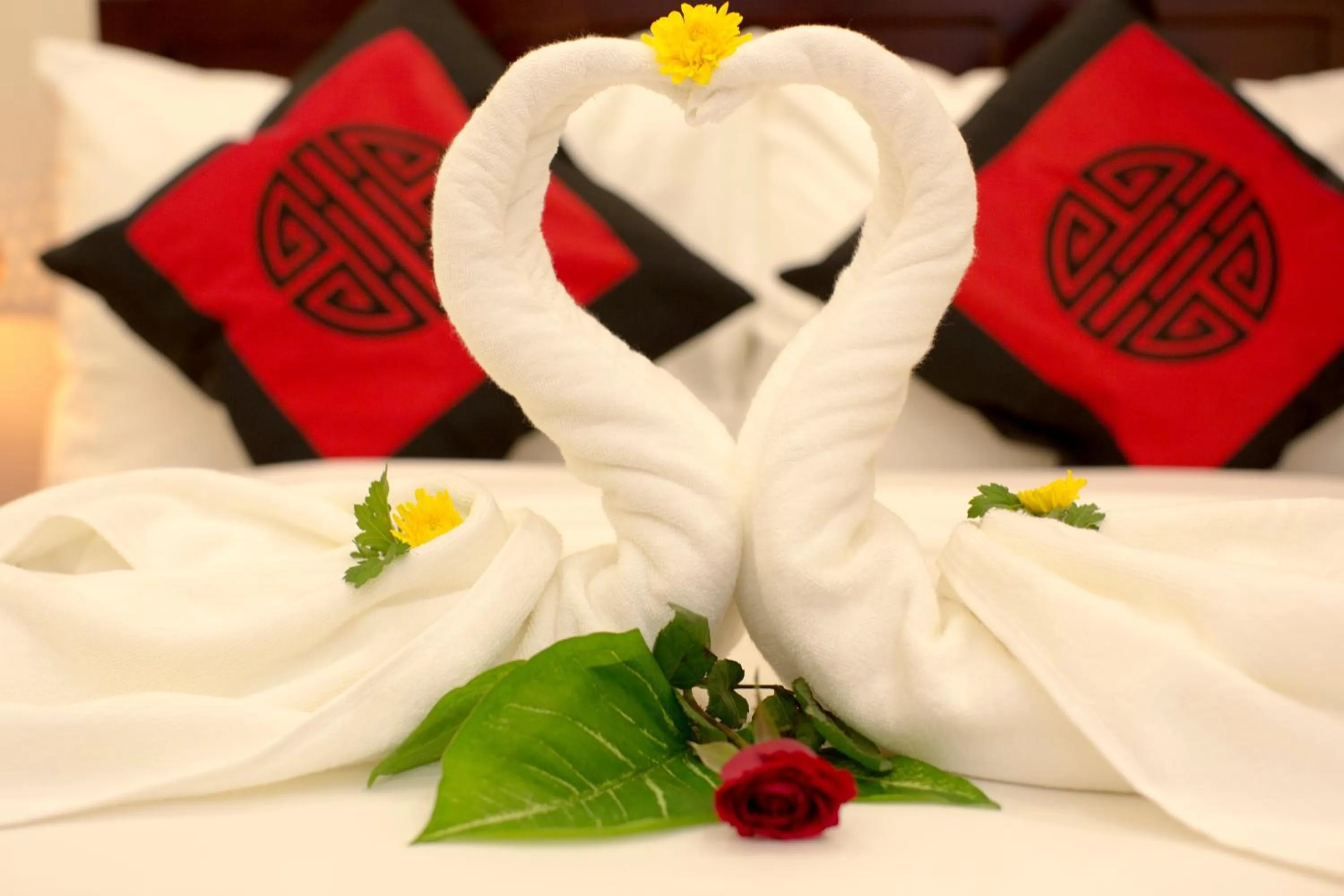 Photo of the whole room in Herbal Tea Homestay