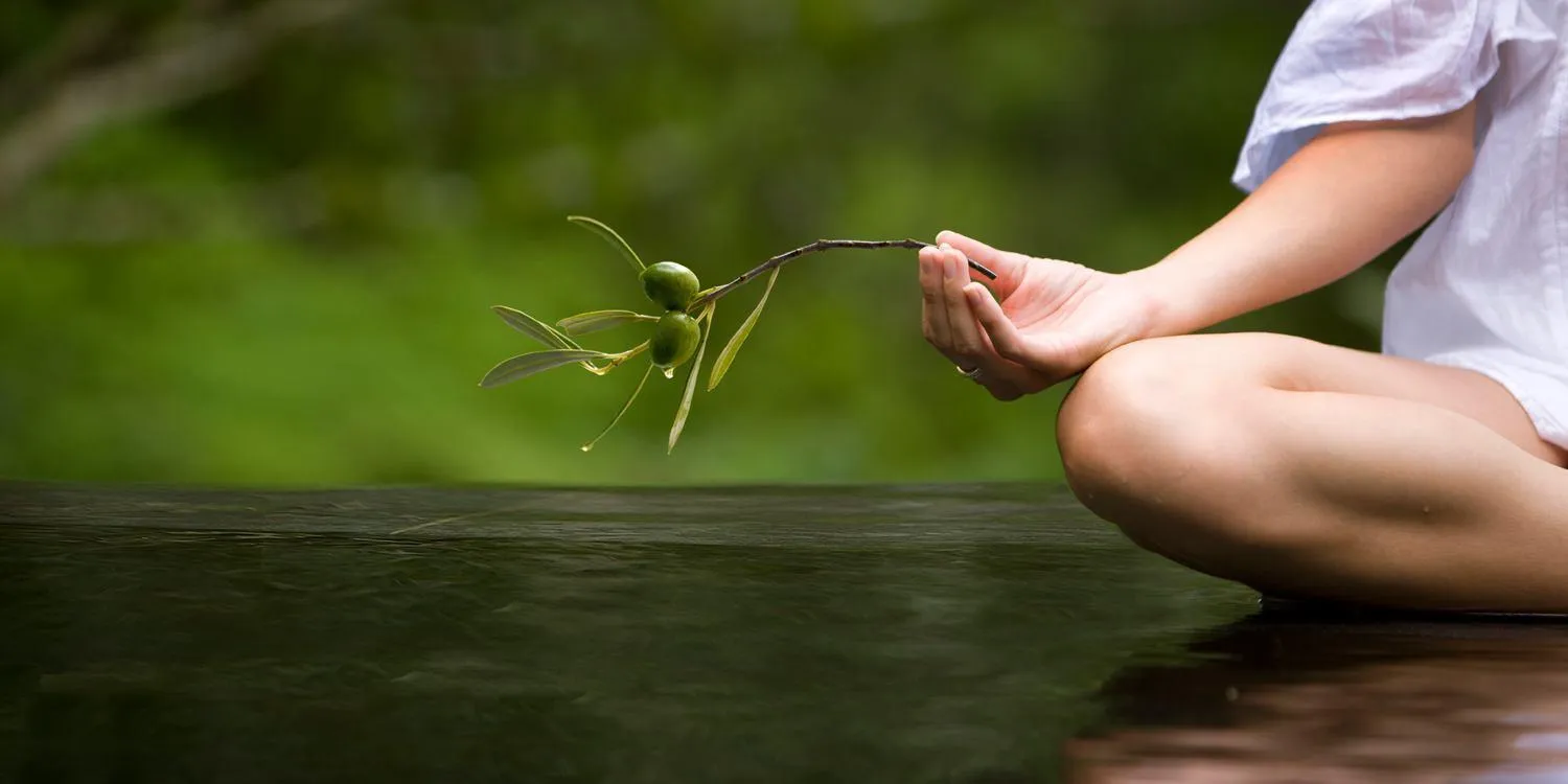 Fitness centre/facilities in Villa Campestri Olive Oil Resort