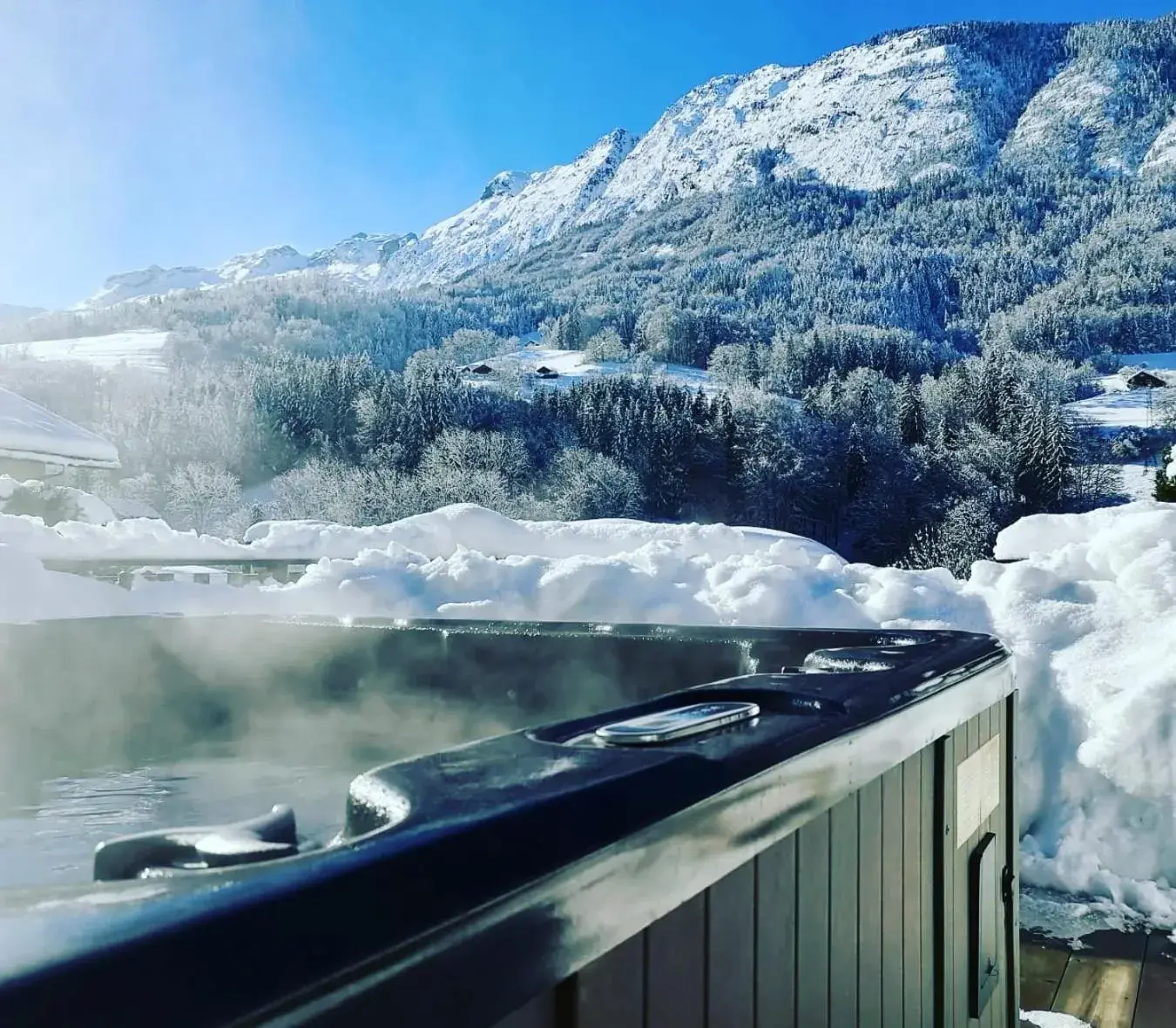 Suite in Auberge Du Fraizier Suite in Auberge Du Fraizier