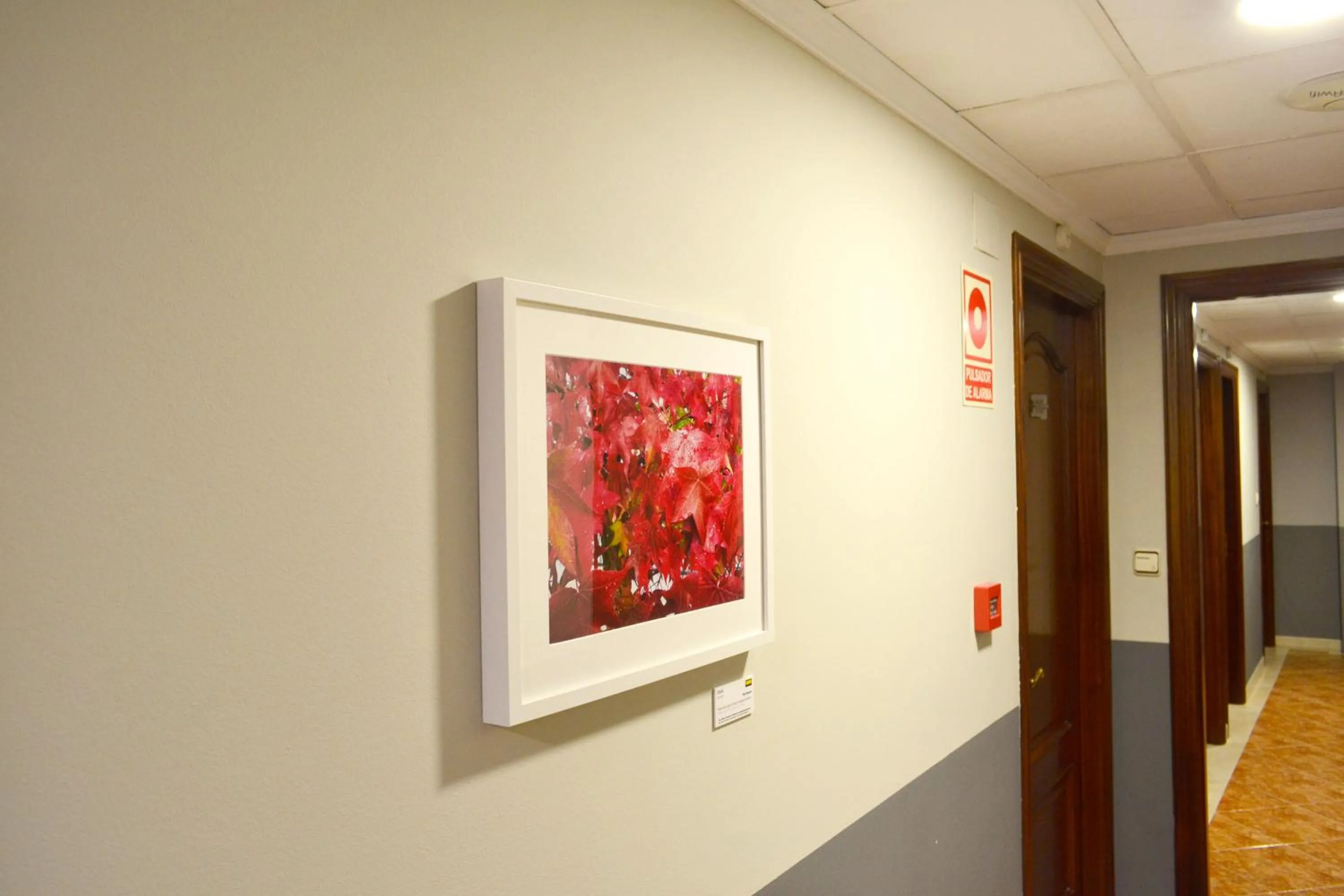 Decorative detail in Alda Puerta Coruña