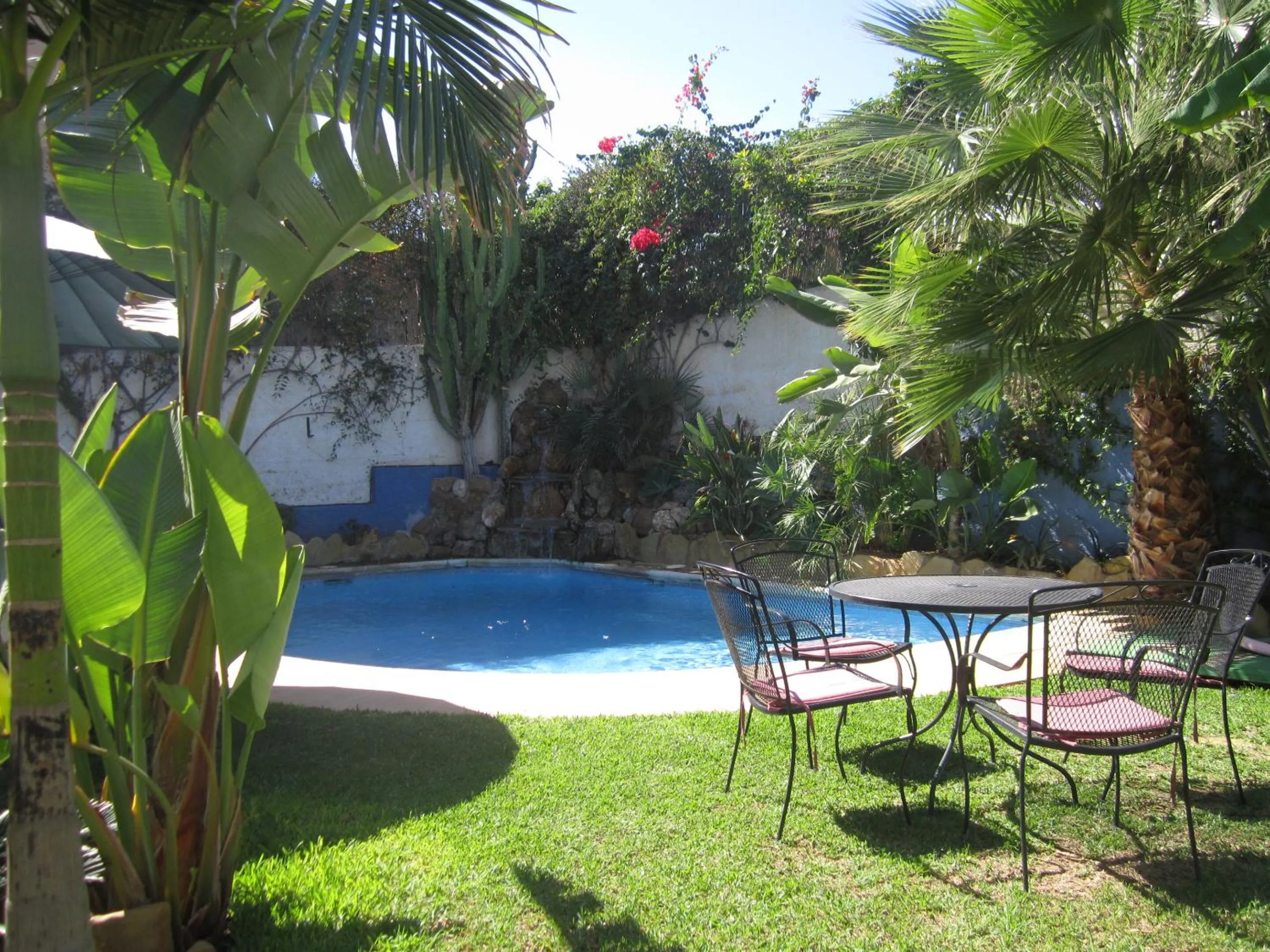Garden in Hotel Tikar