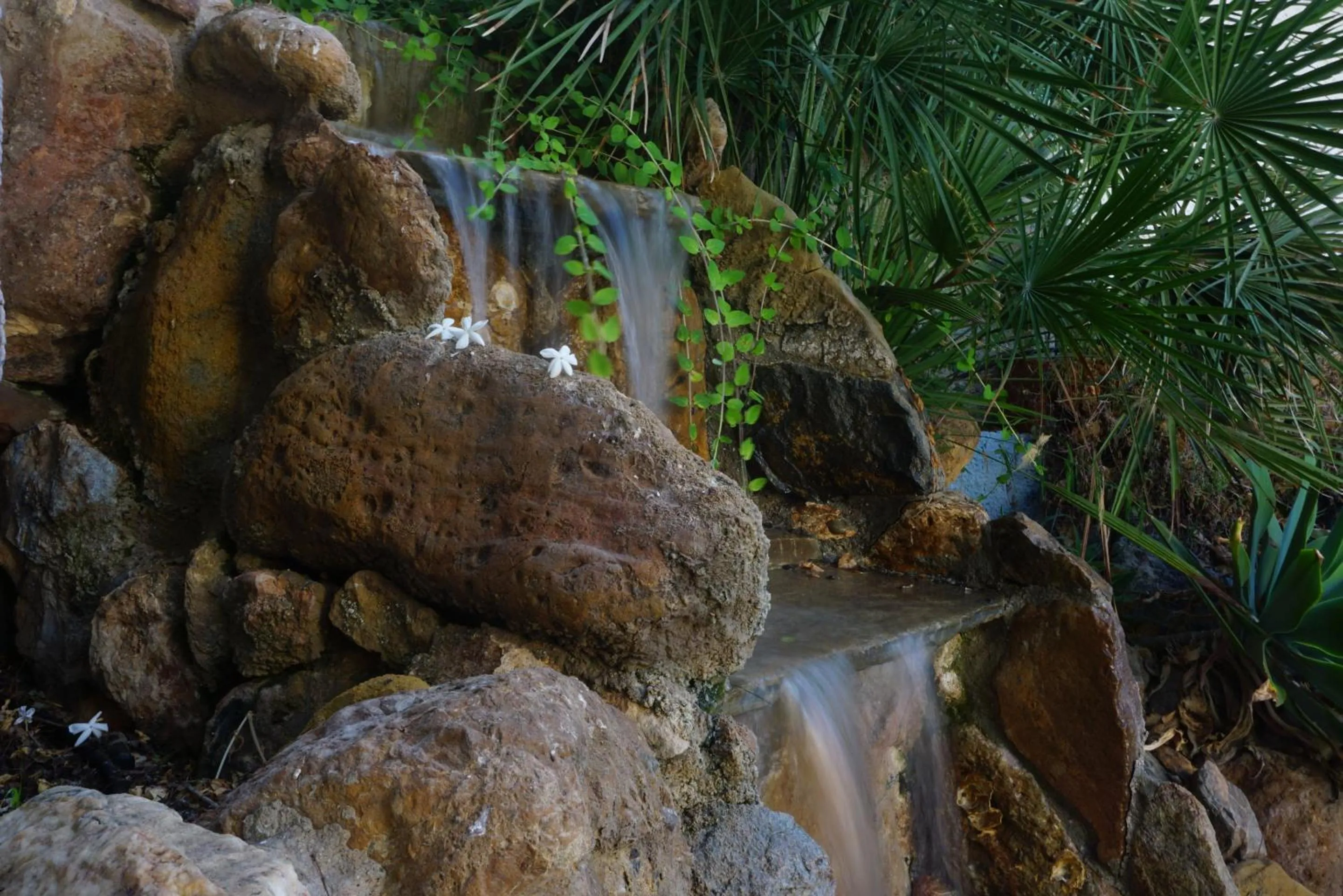 Garden in Hotel Tikar