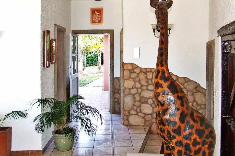 Decorative detail in Stephan's Guest House