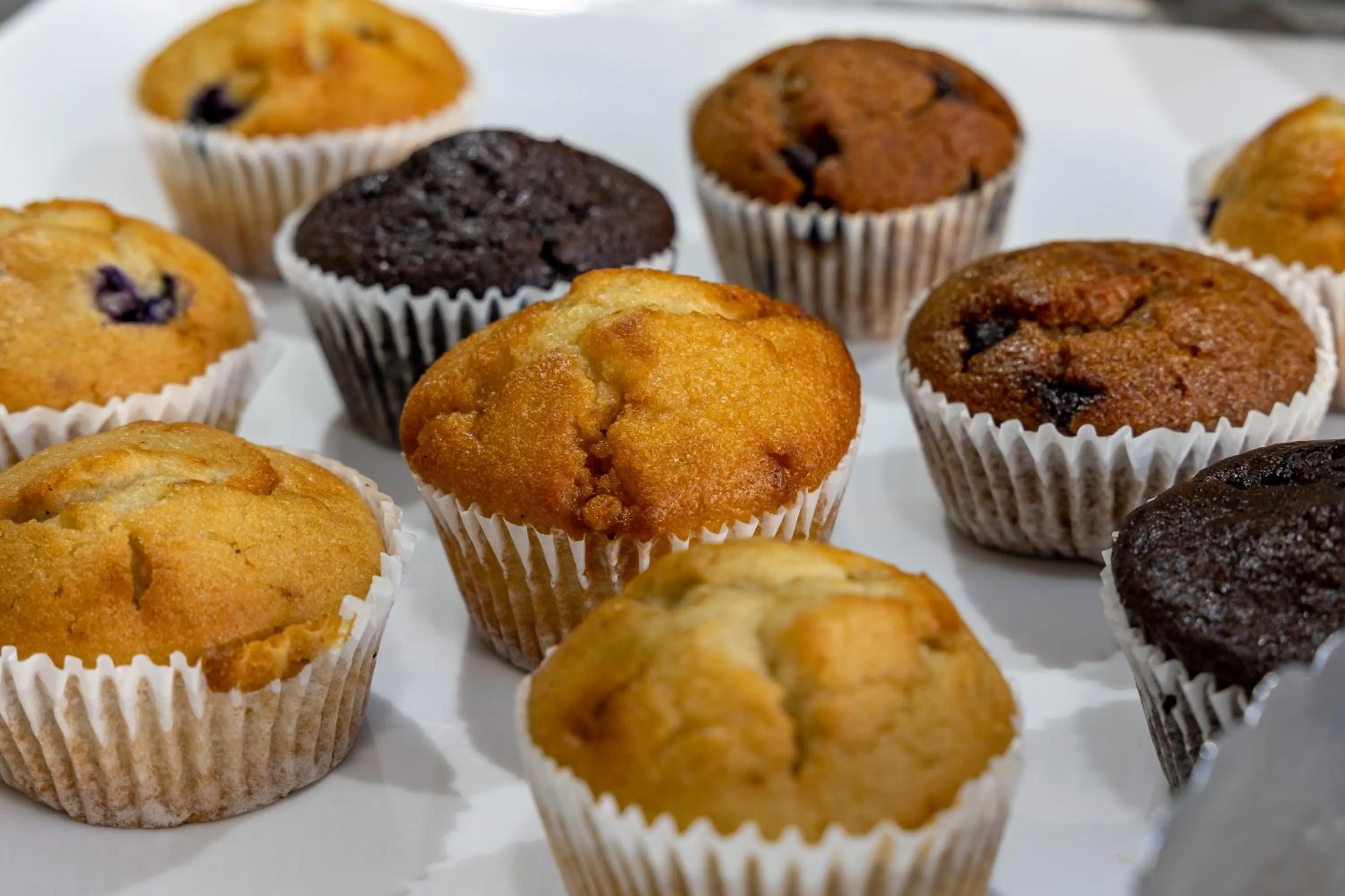 Food and drinks in African Sky Harrismith Inn