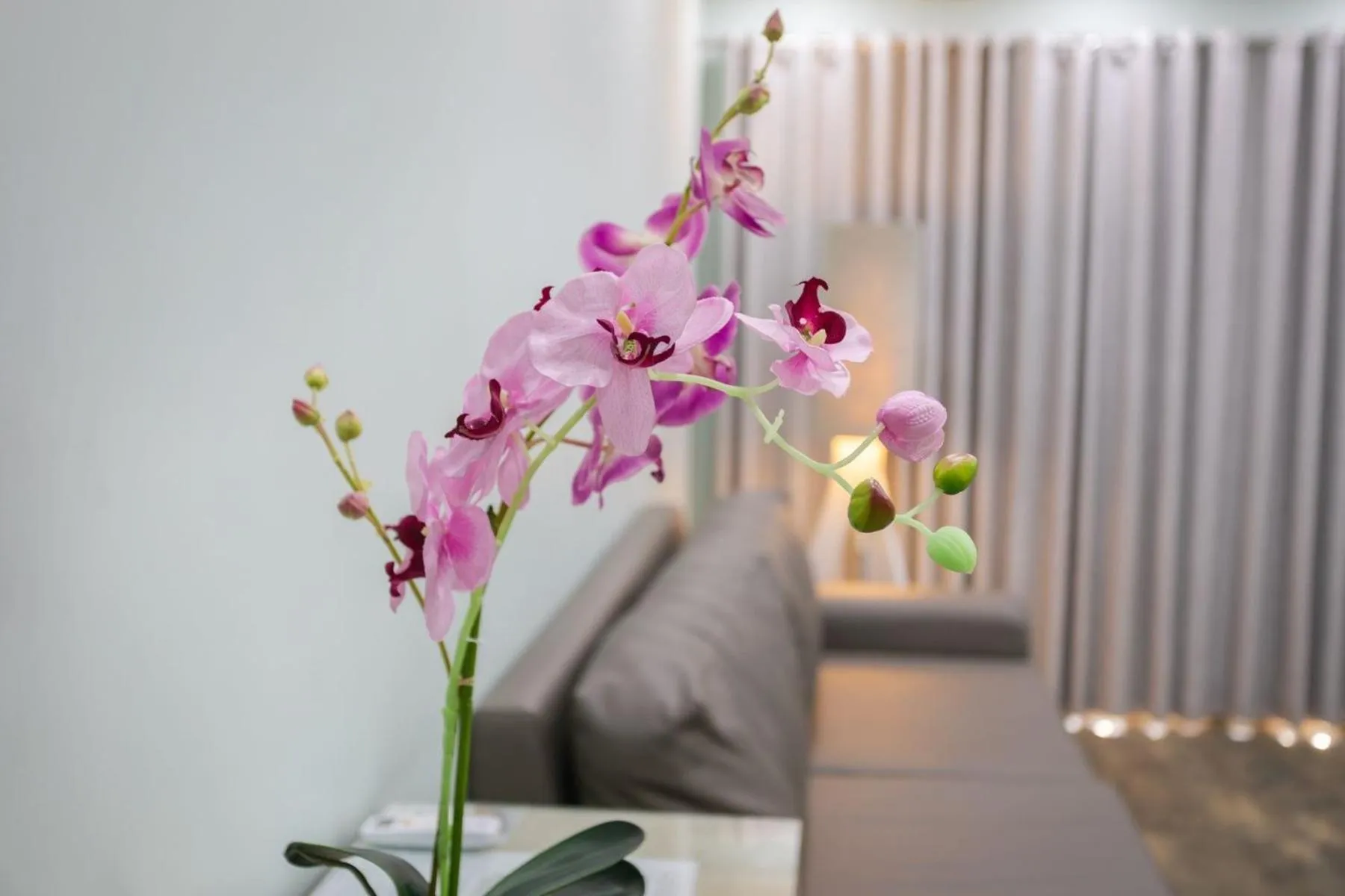 Living room in Fallsway Suites