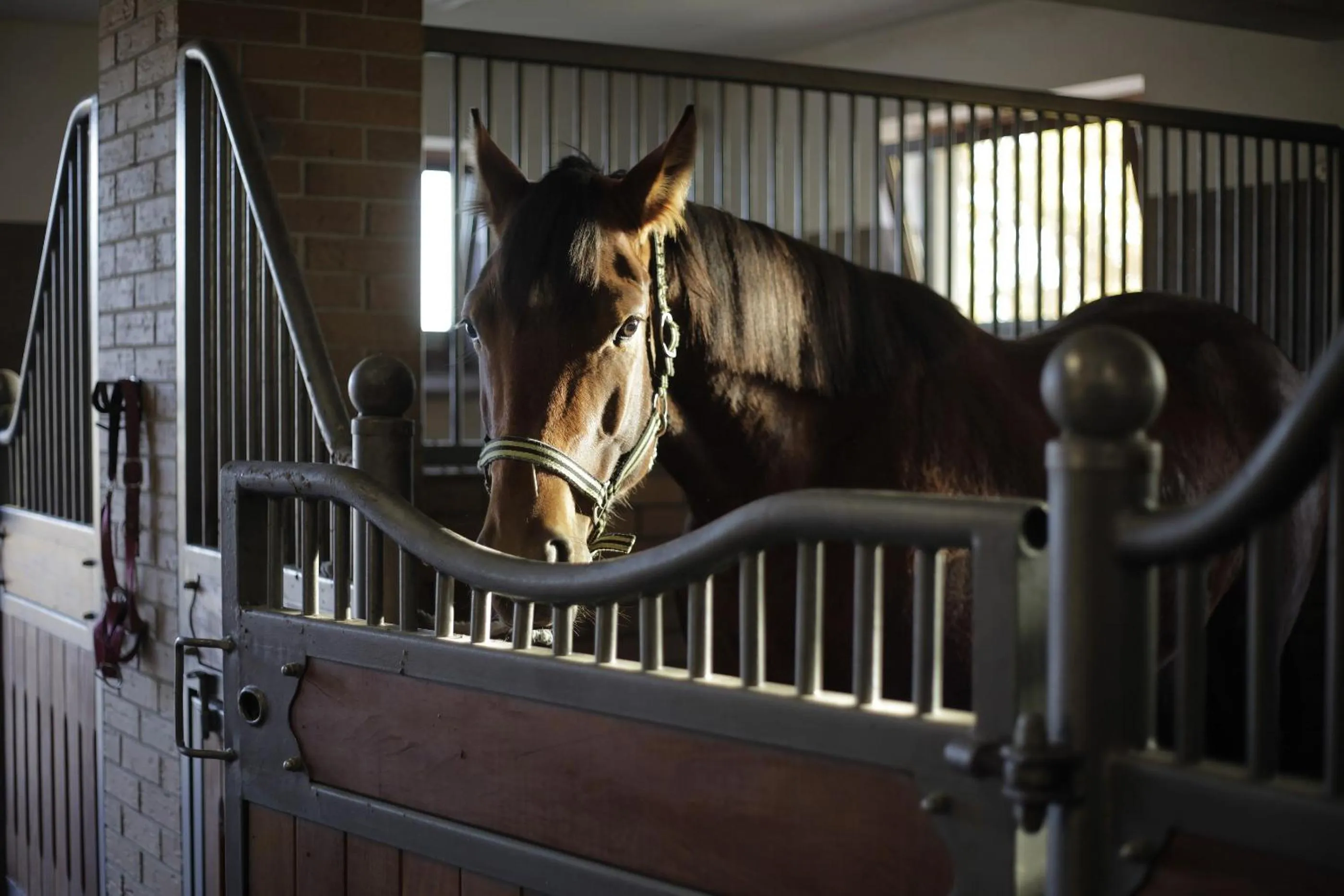 Nearby landmark in Estancja Mezowo