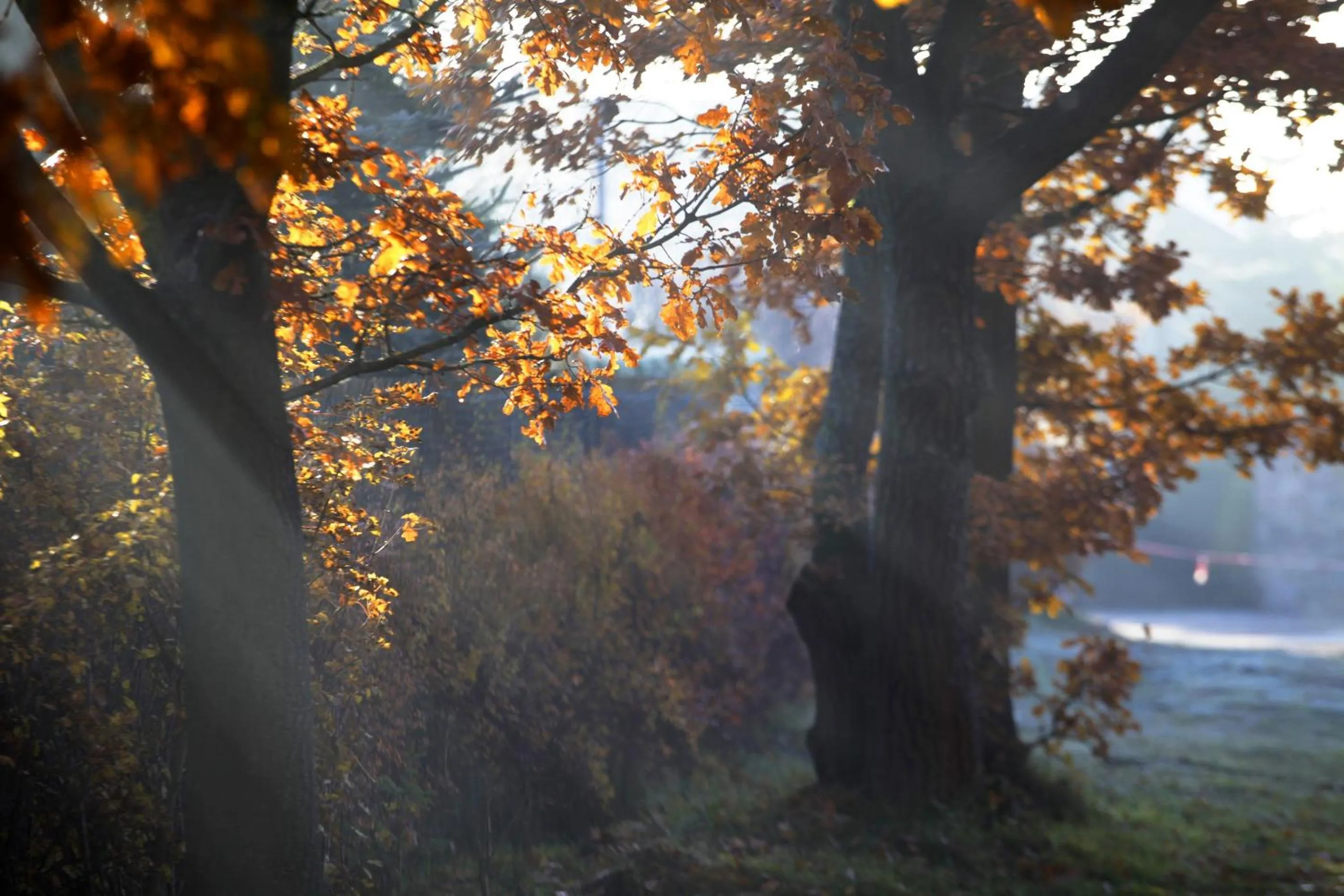 Neighbourhood in Estancja Mezowo