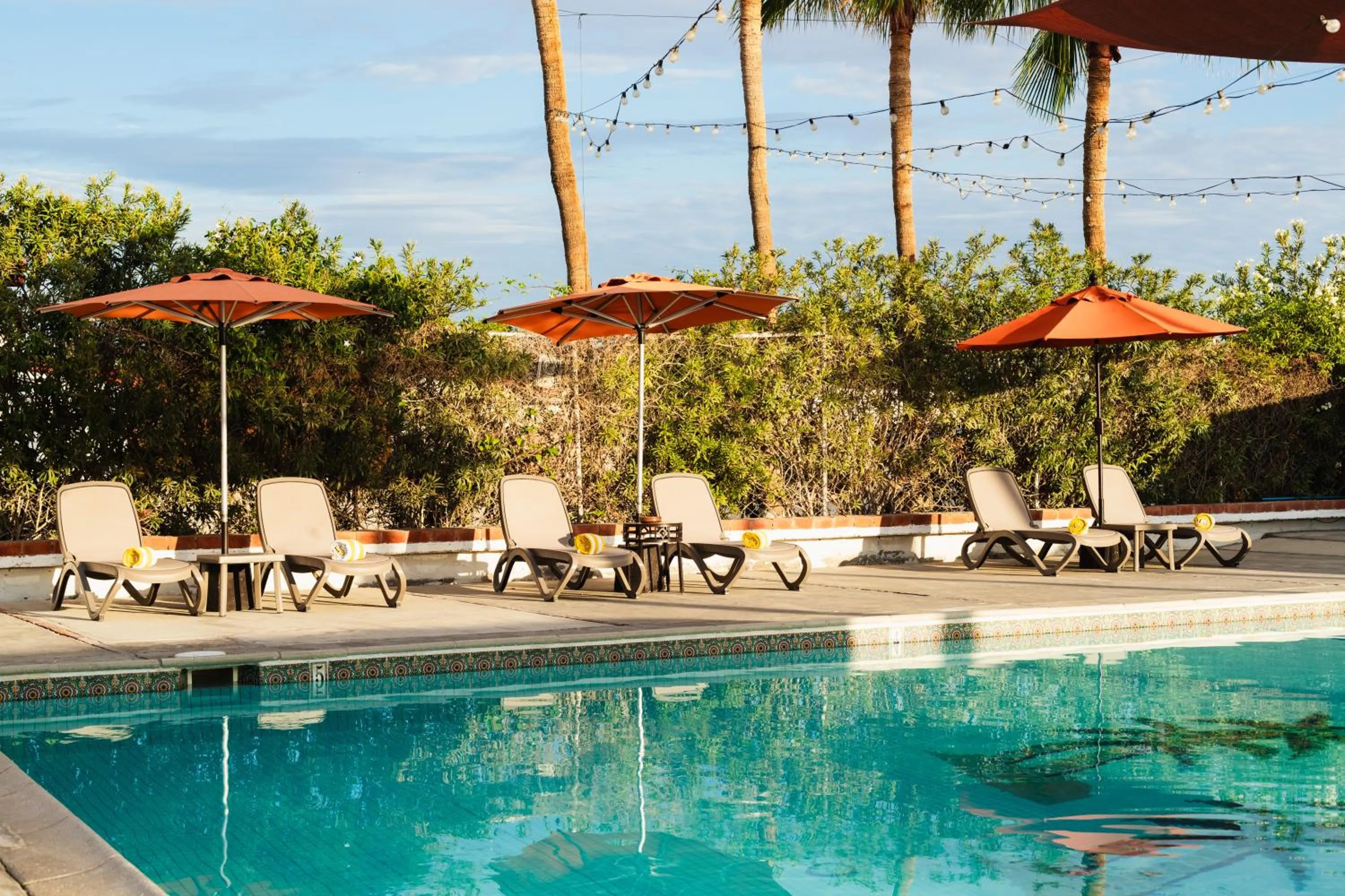Pool view in Hotel Las Palmas
