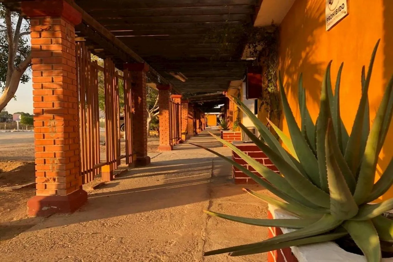 Patio in Hotel Las Palmas