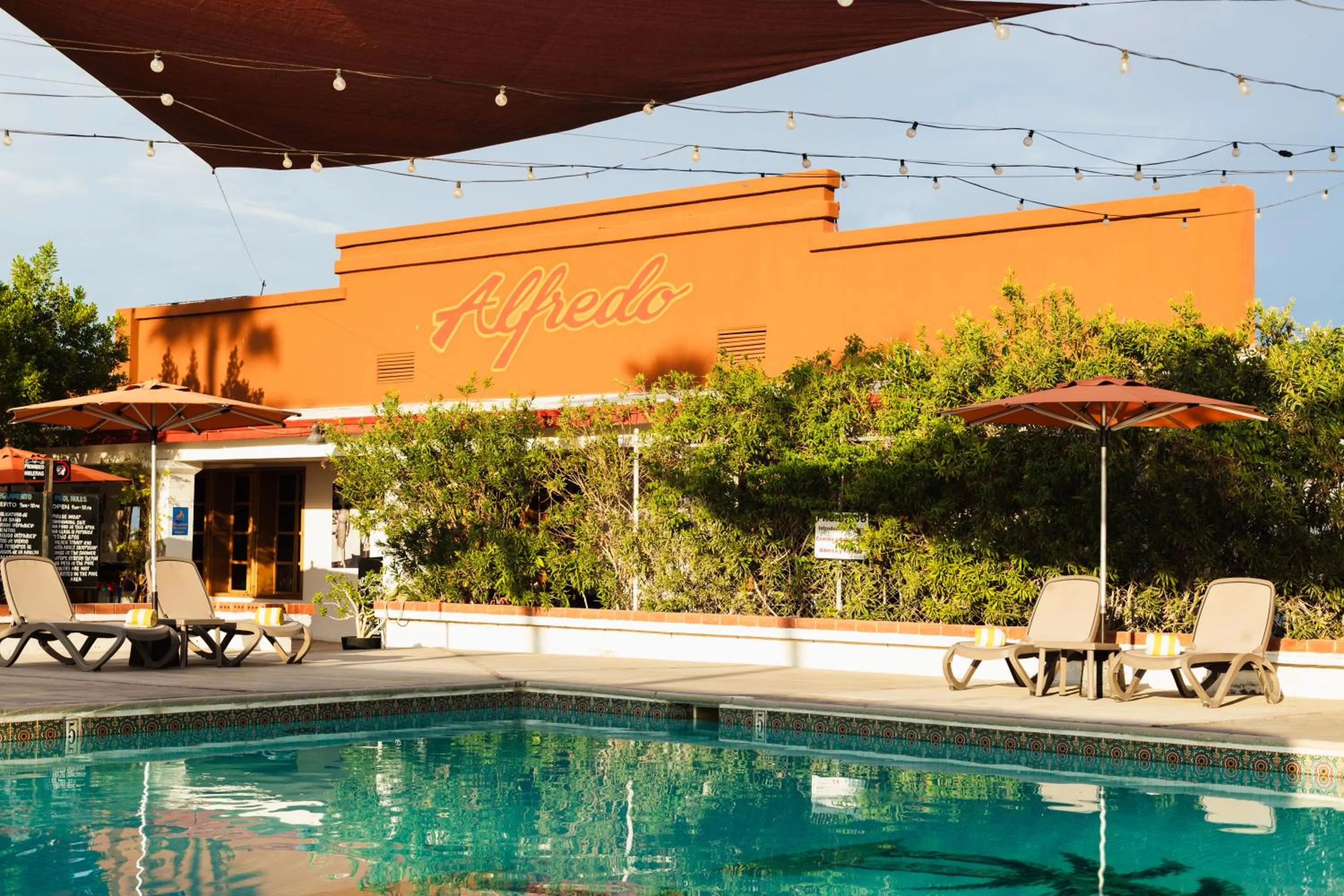 Pool view in Hotel Las Palmas