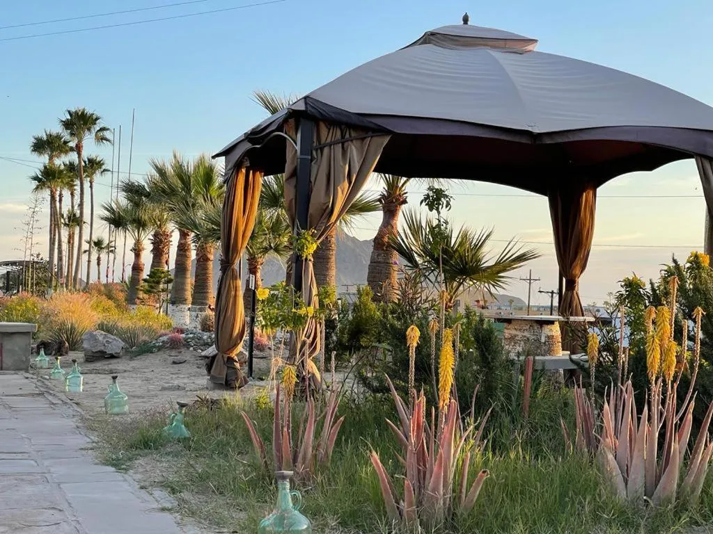 Patio in Hotel Las Palmas