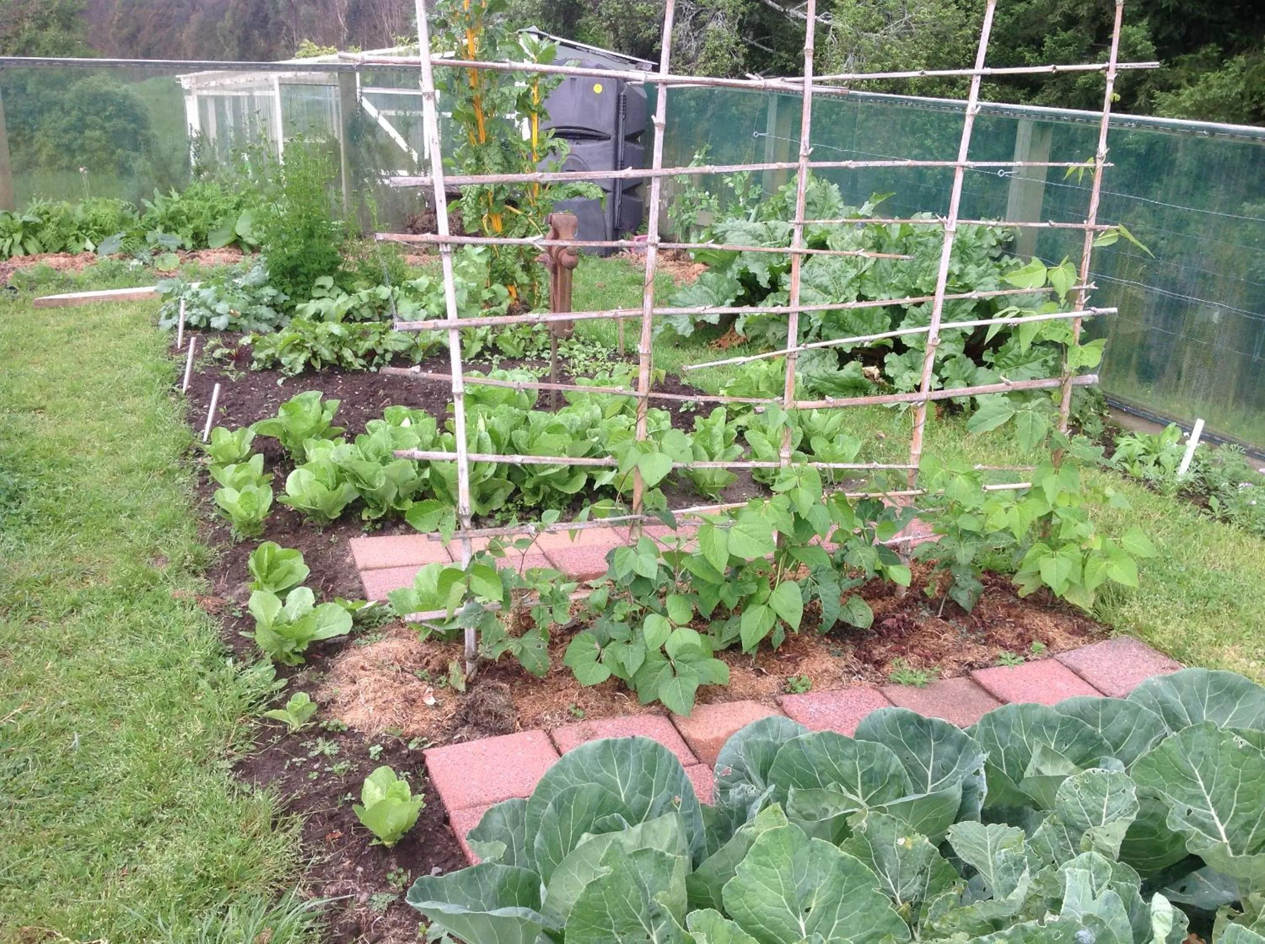 Garden in Rolling Hills Country Stay B&B