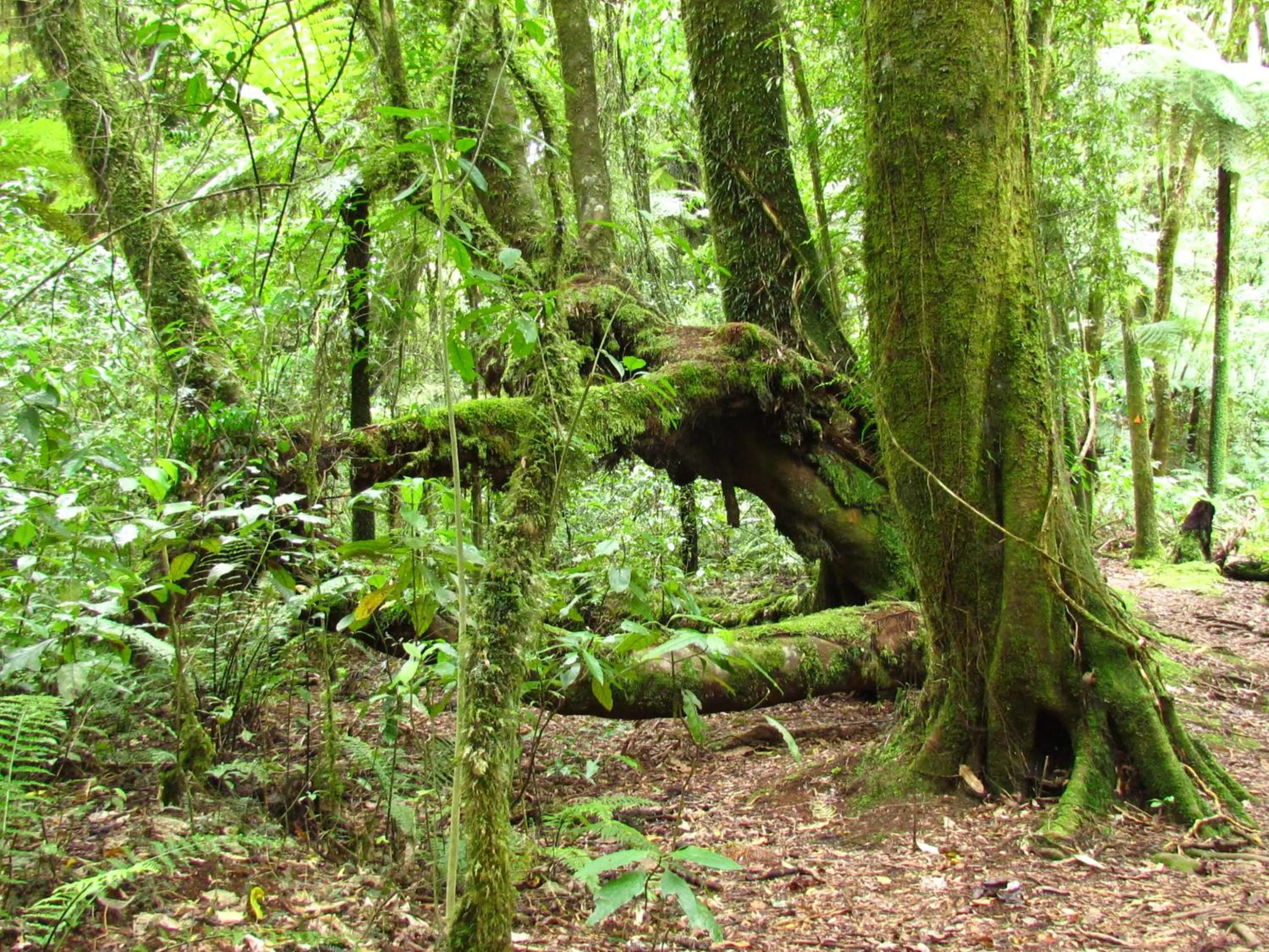 Natural landscape in Rolling Hills Country Stay B&B