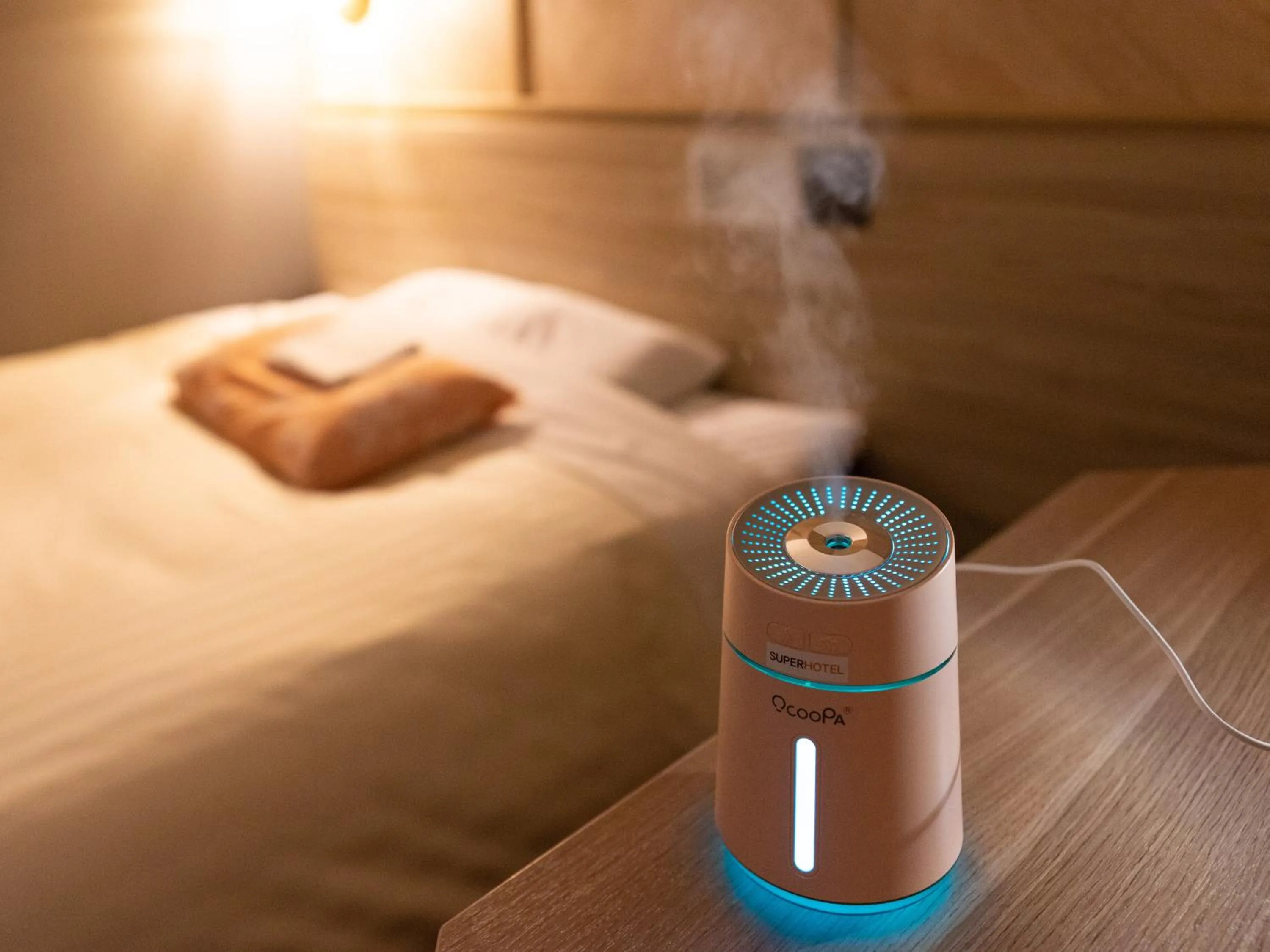 Bedroom, Bed in Super Hotel Gotemba 1