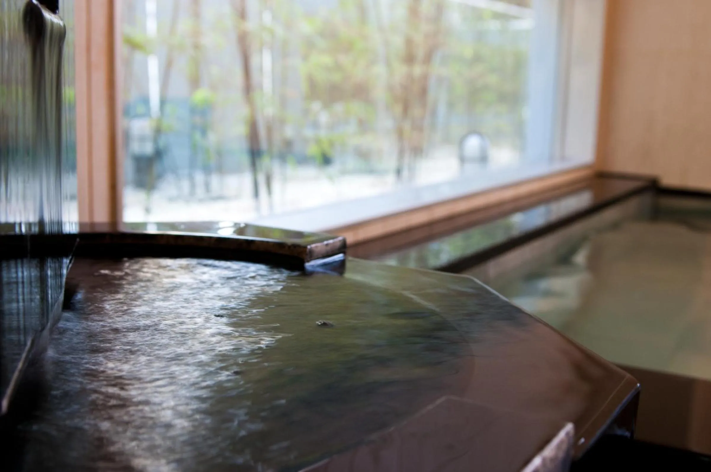 Public Bath in Super Hotel Gotemba 1