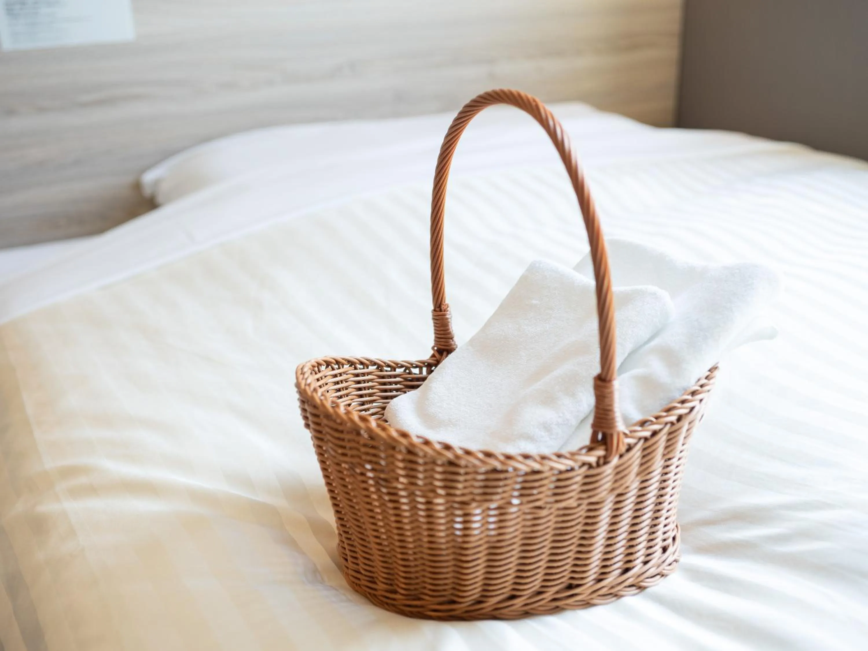 Shower, Bed in Super Hotel Gotemba 1