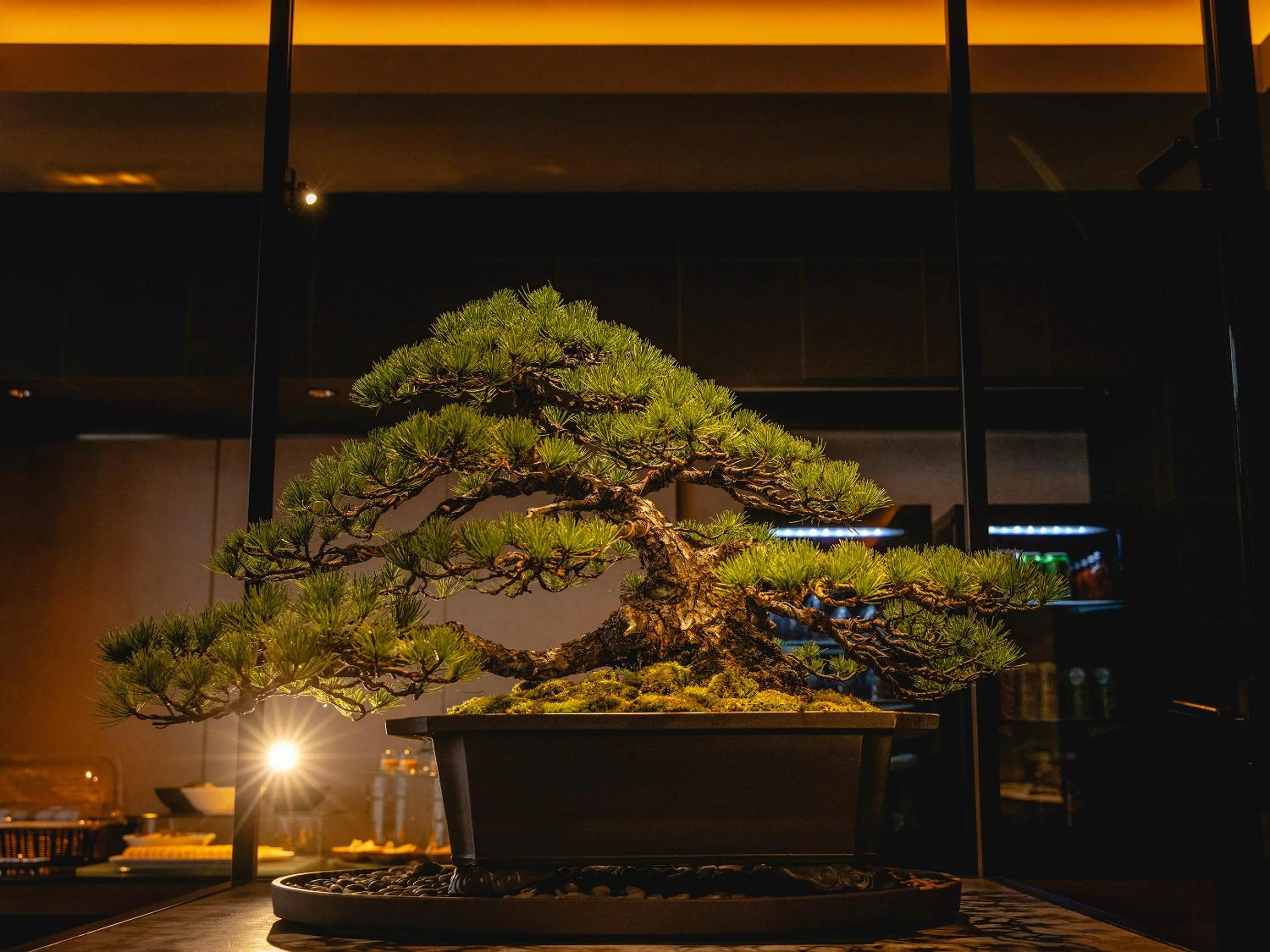 Lounge or bar in Hotel Gracery Kyoto Sanjo