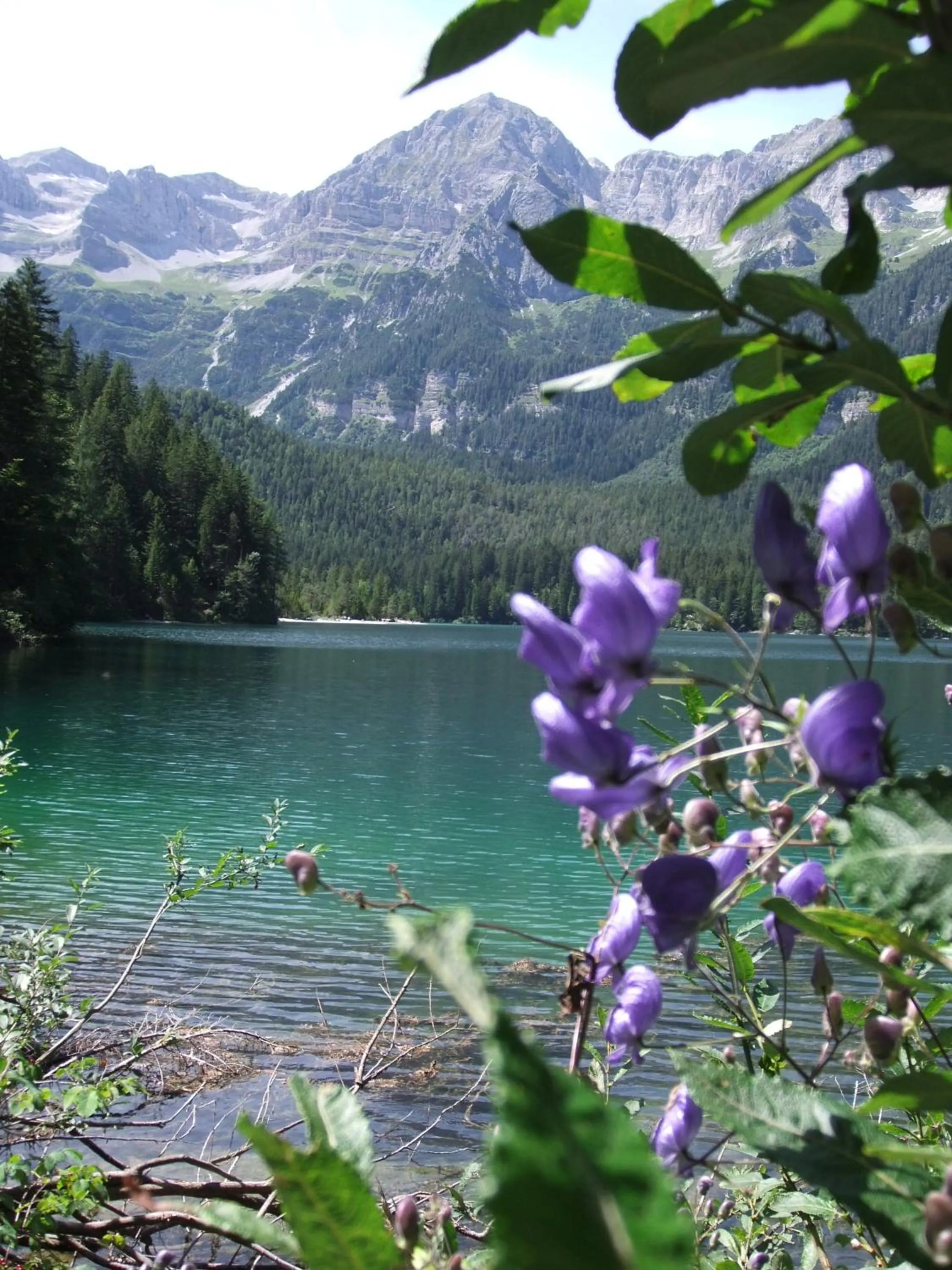 Fishing in Active Hotel Monte Giner