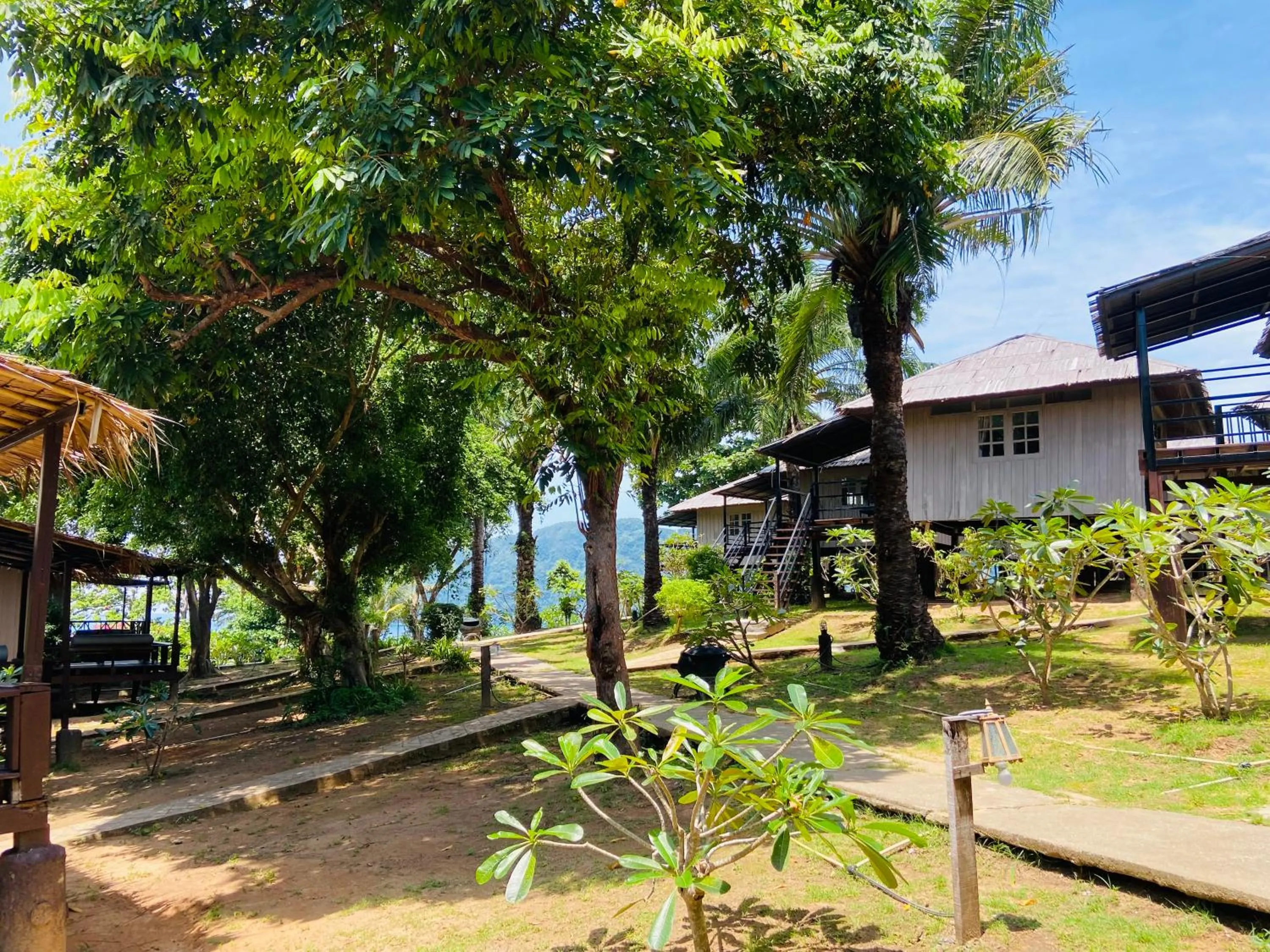 Natural landscape in HIP Seaview Resort @ Phi Phi