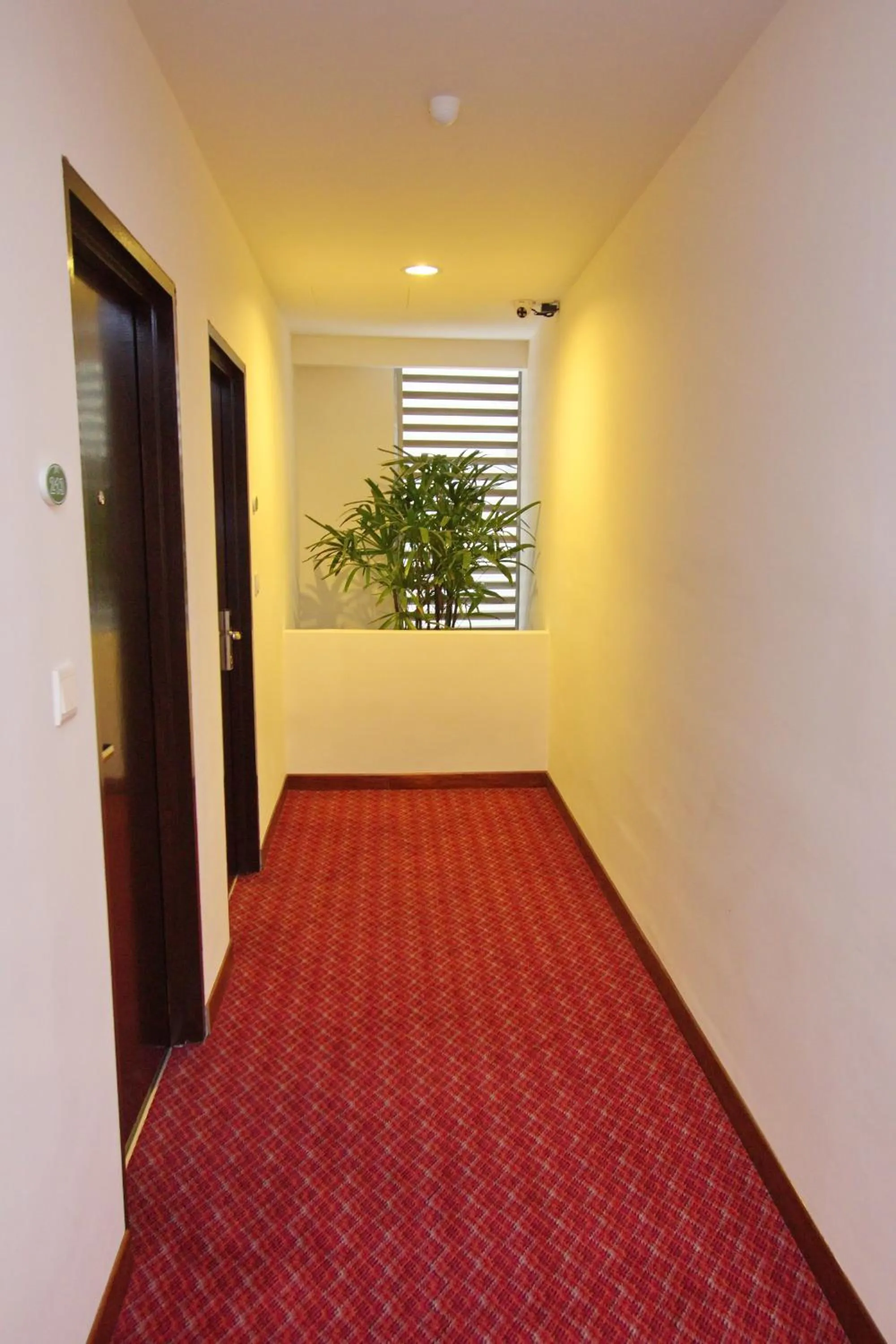 Decorative detail in Molek Garden Hotel