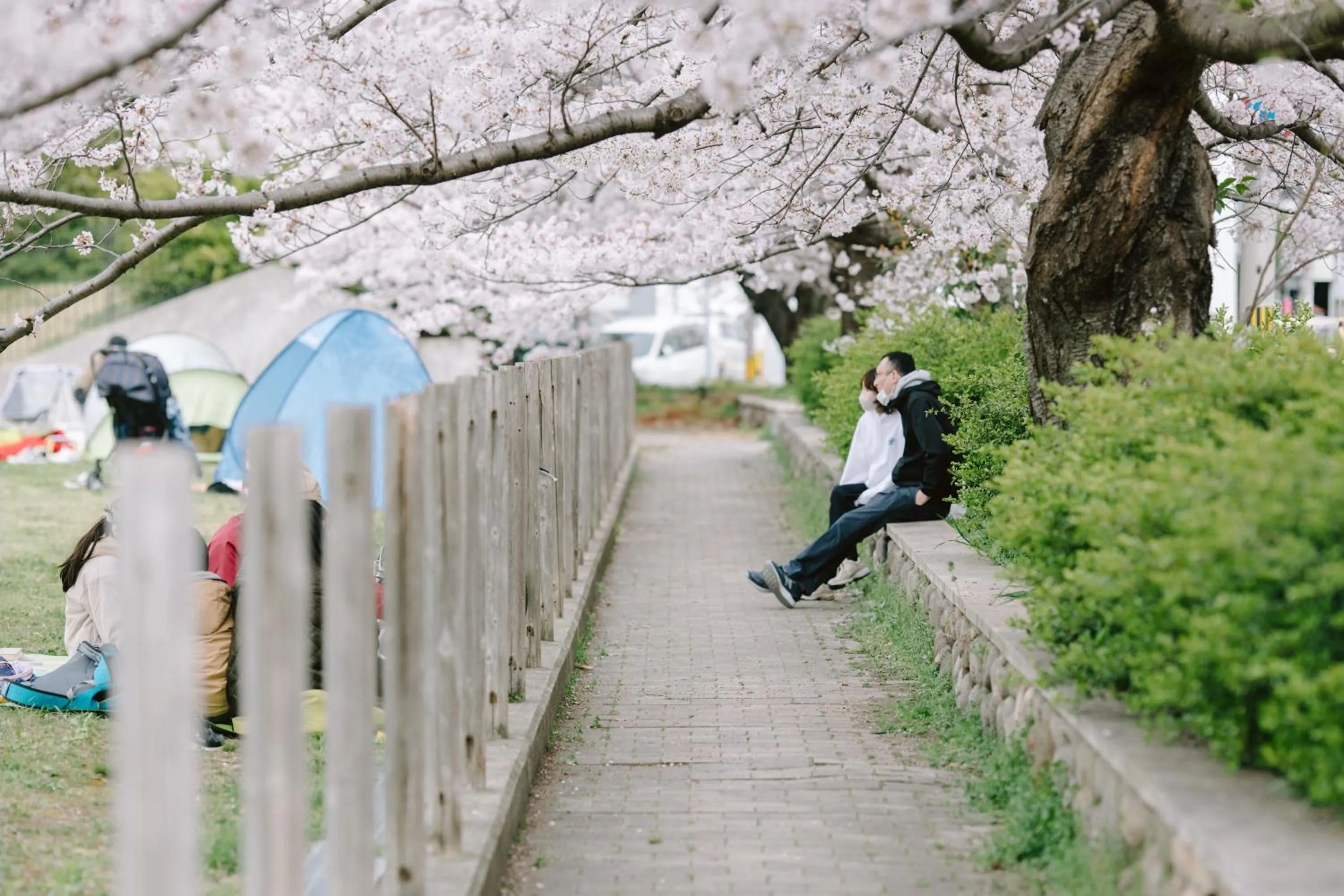 Off site in Guesthouse RICO