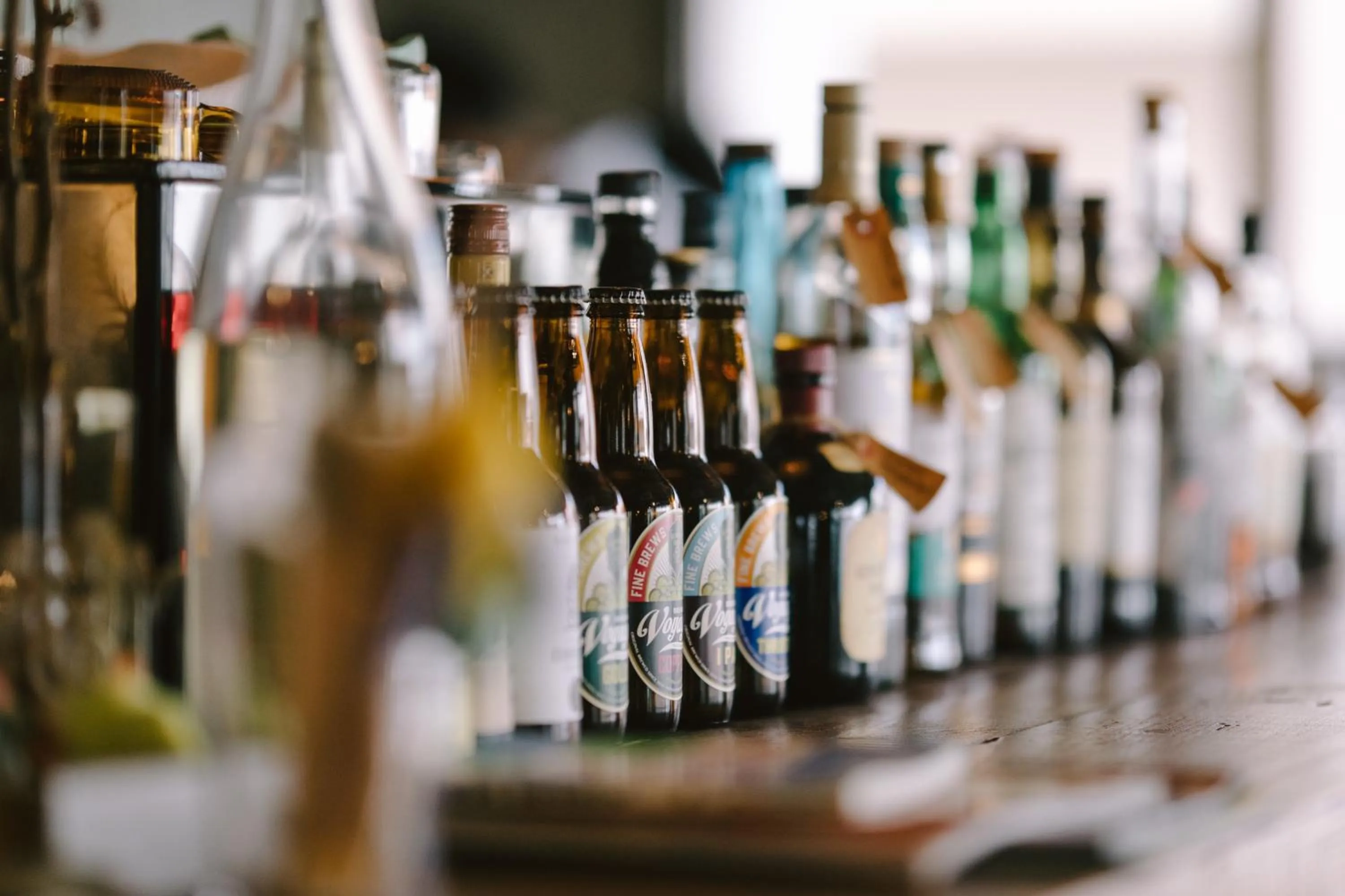 Lounge or bar in Guesthouse RICO