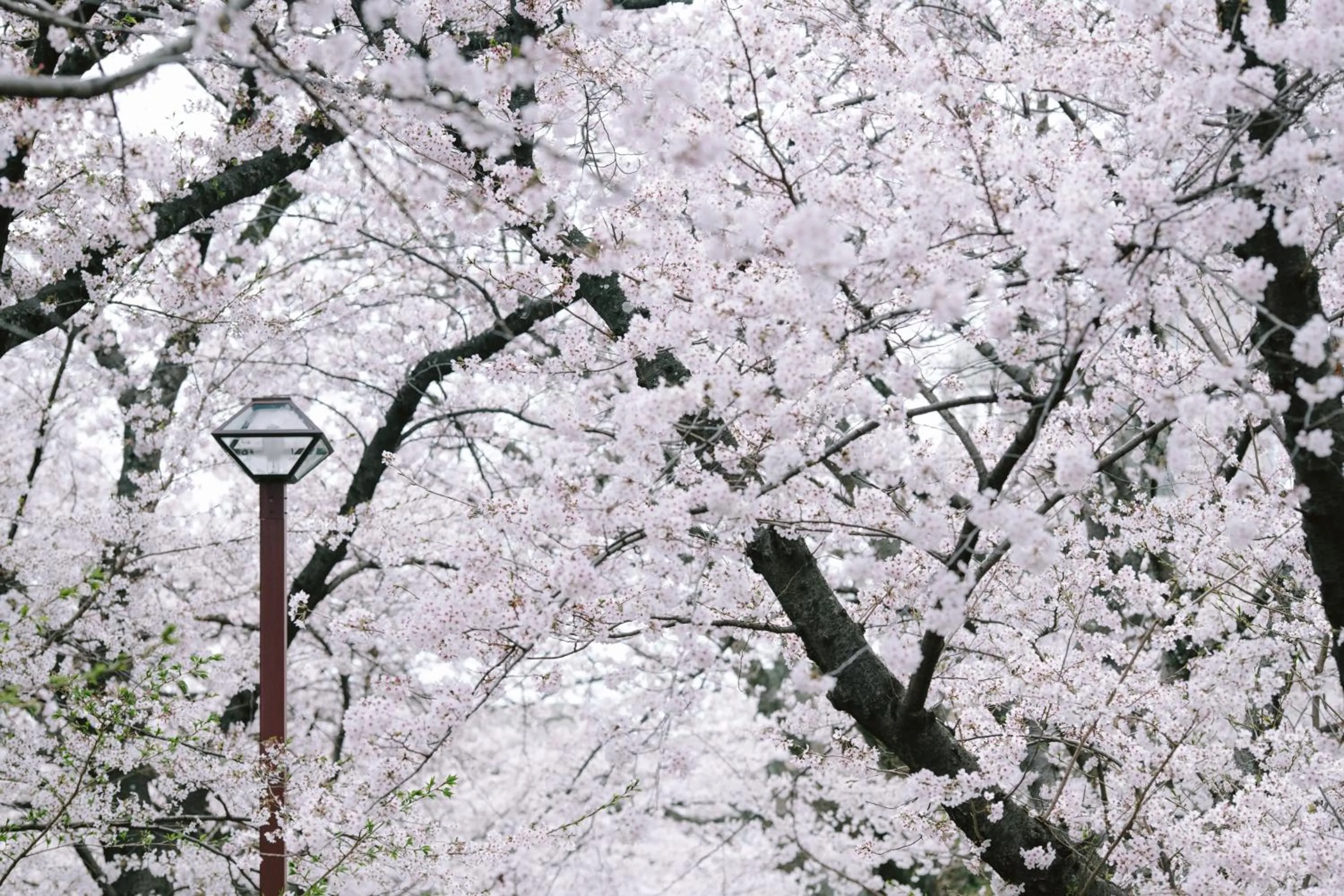 Off site in Guesthouse RICO