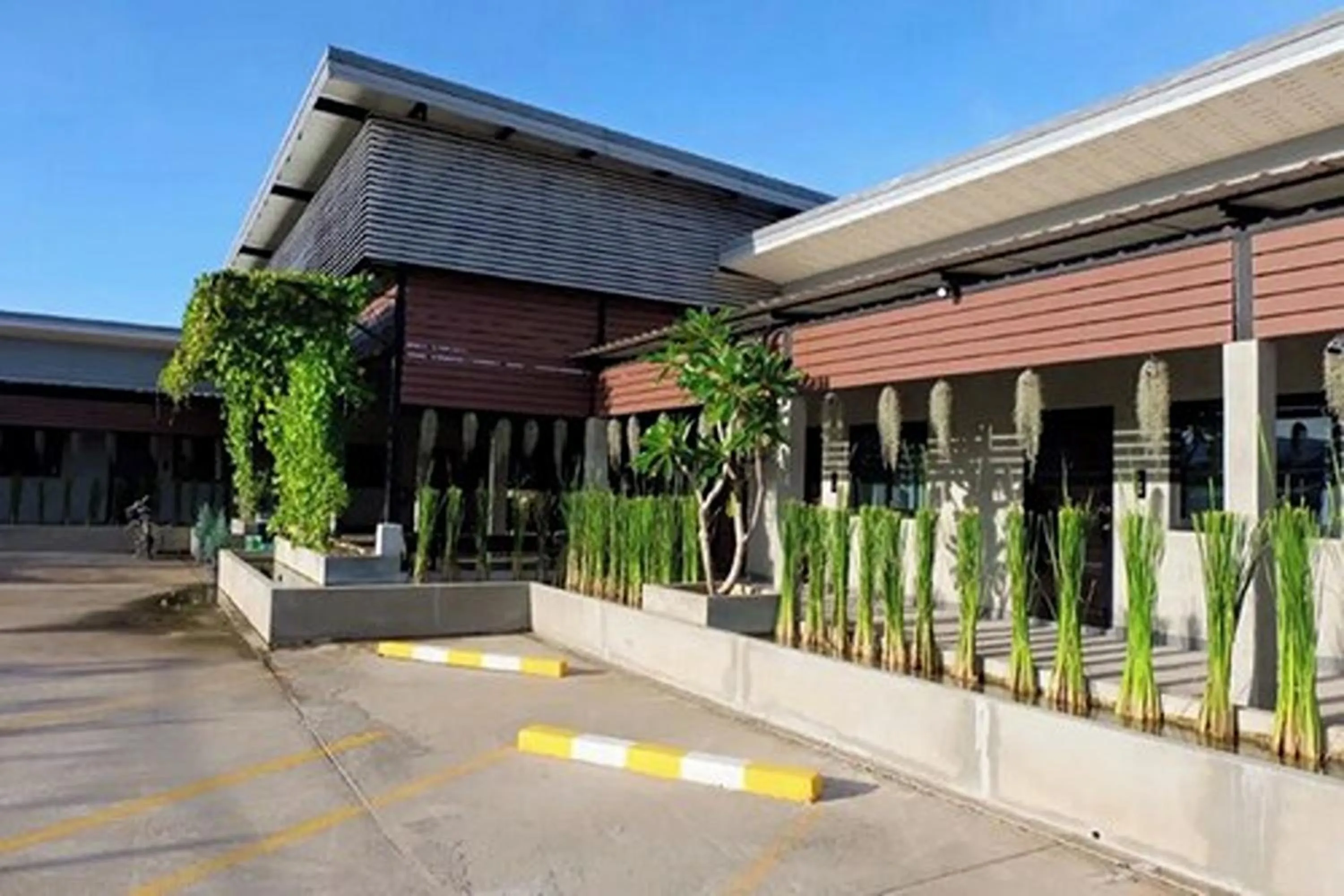 Property building in The Loft @Chiangrai