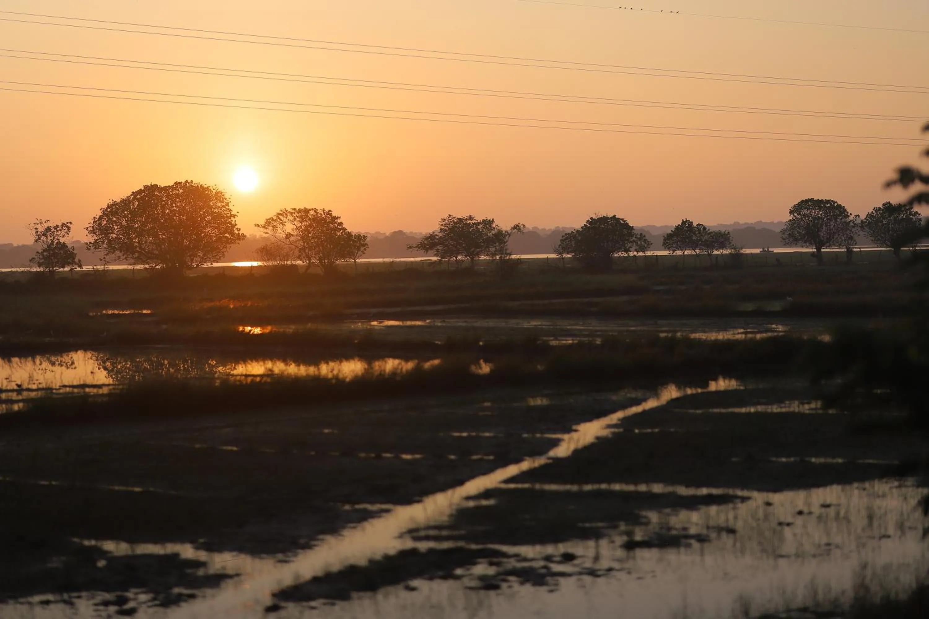 Natural landscape in Birdsong Leisure Resort