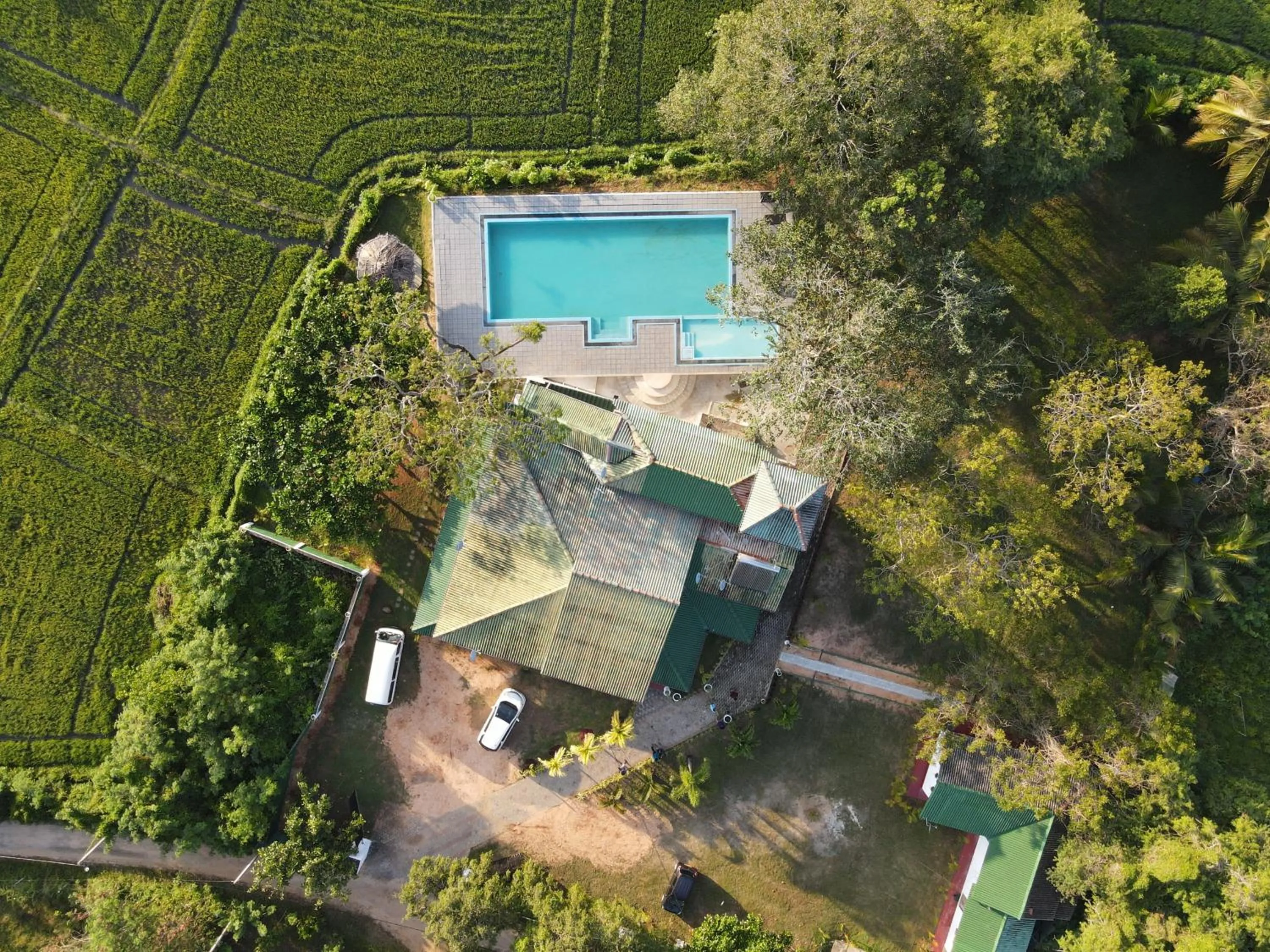 Spring in Birdsong Leisure Resort